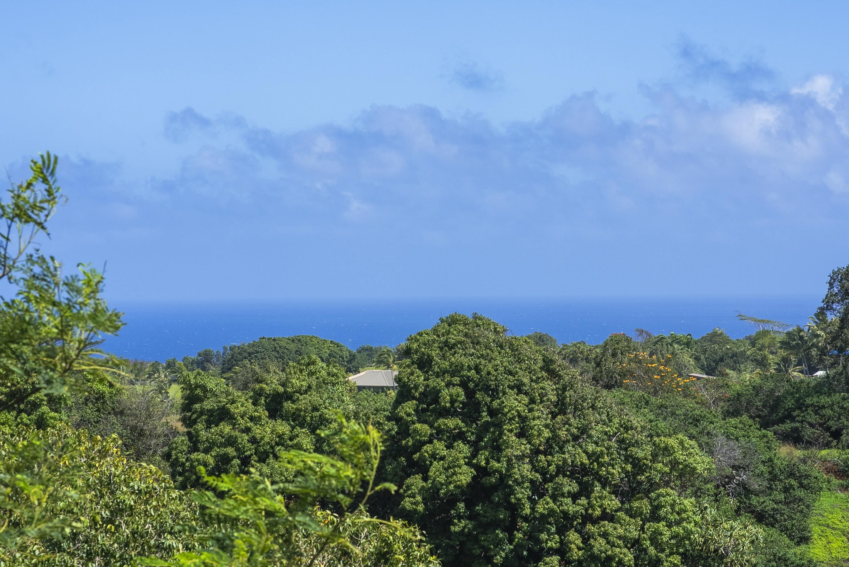 3980  Hana Hwy , Haiku home - photo 3 of 33