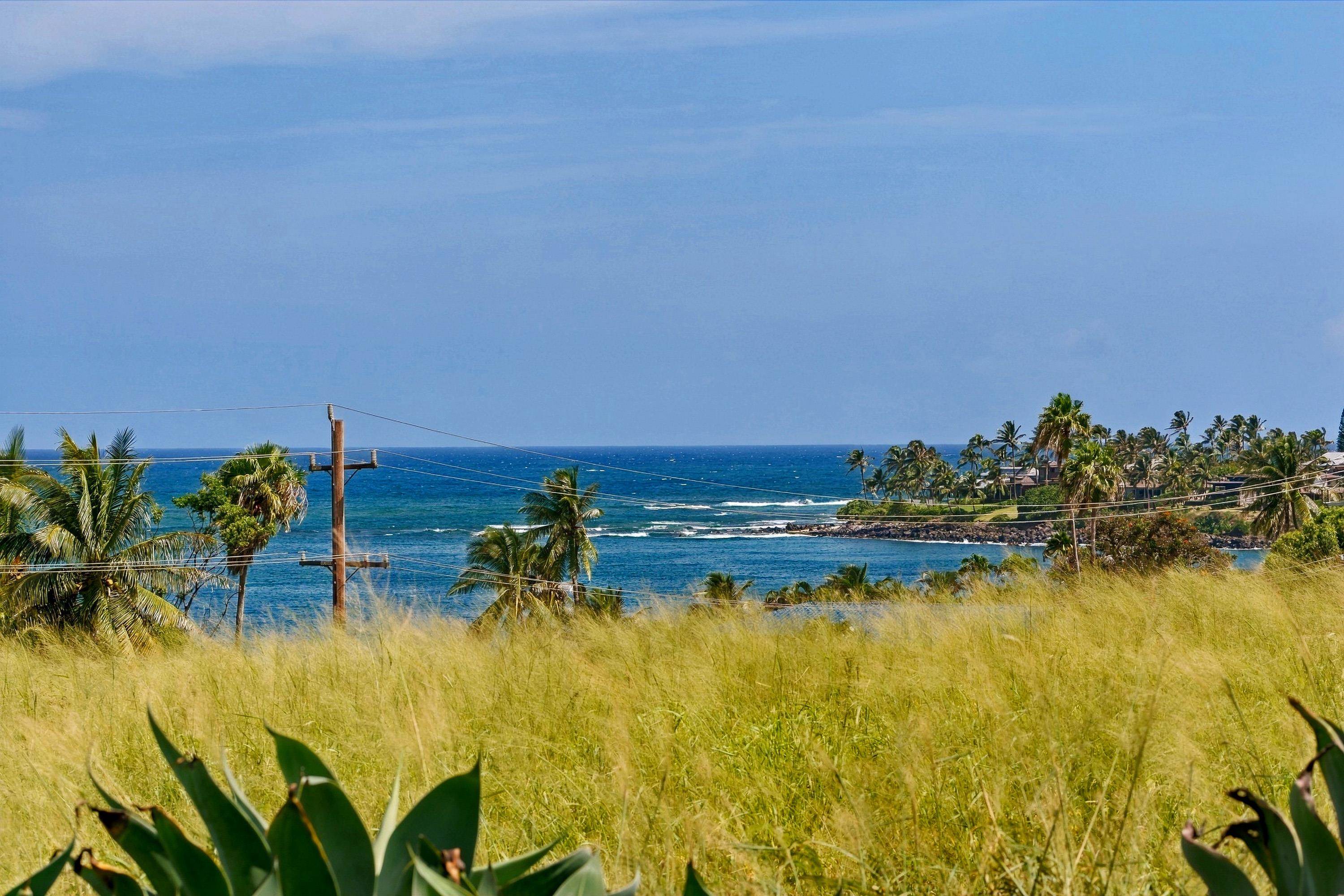 4  Laelua Pl Kuau, Spreckelsville/Paia/Kuau home - photo 5 of 47