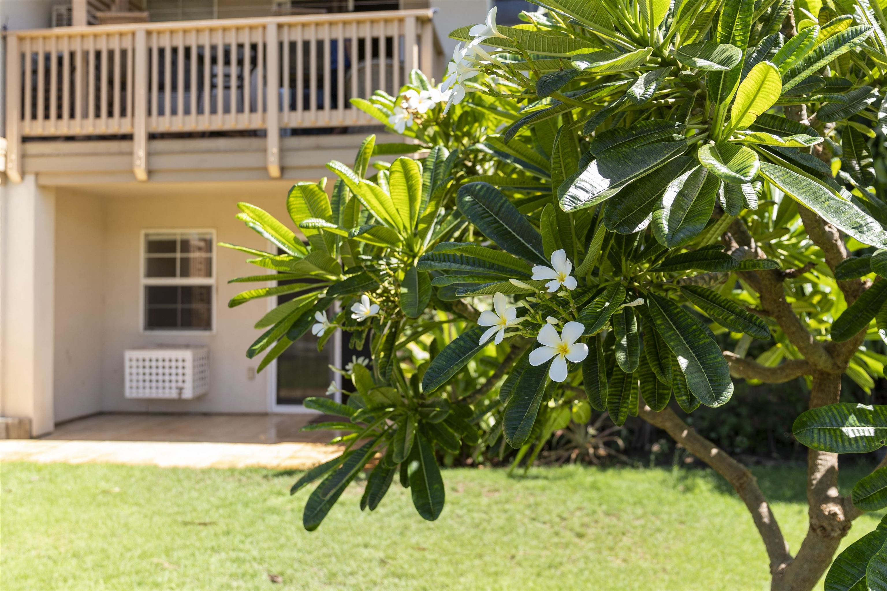 Villas at Kenolio I condo # 4M, Kihei, Hawaii - photo 34 of 43
