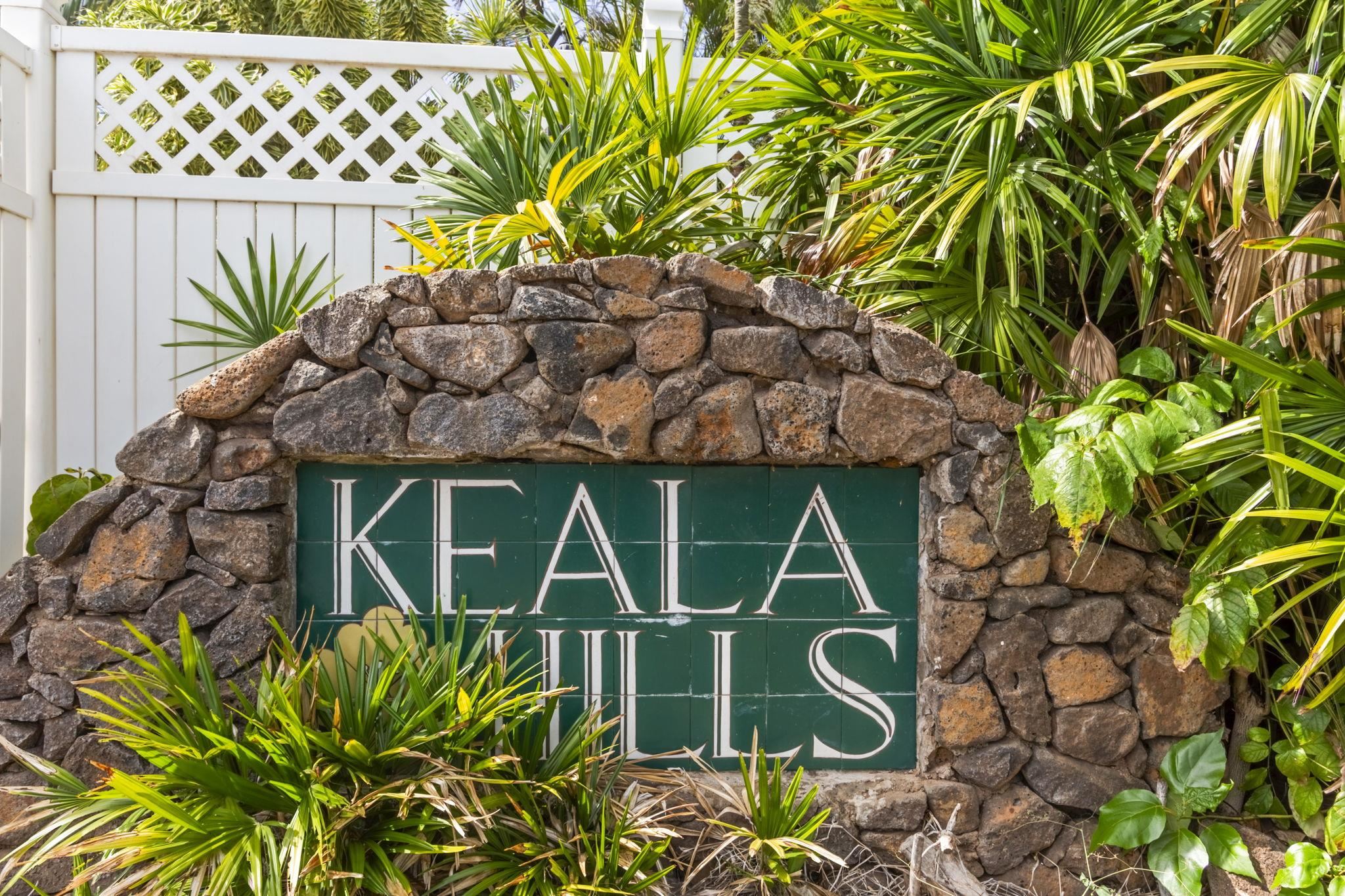 40  Ho'olalei Way Keala Hills, Kihei home - photo 41 of 50