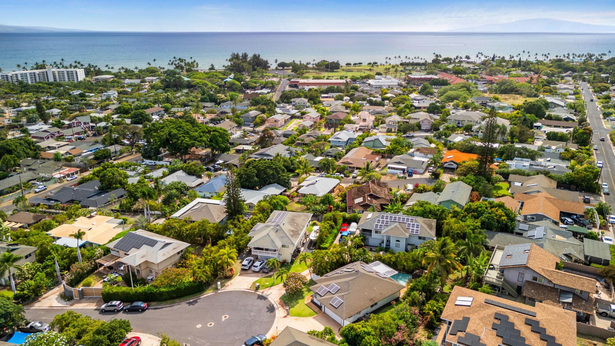 40  Ho'olalei Way Keala Hills, Kihei home - photo 47 of 50