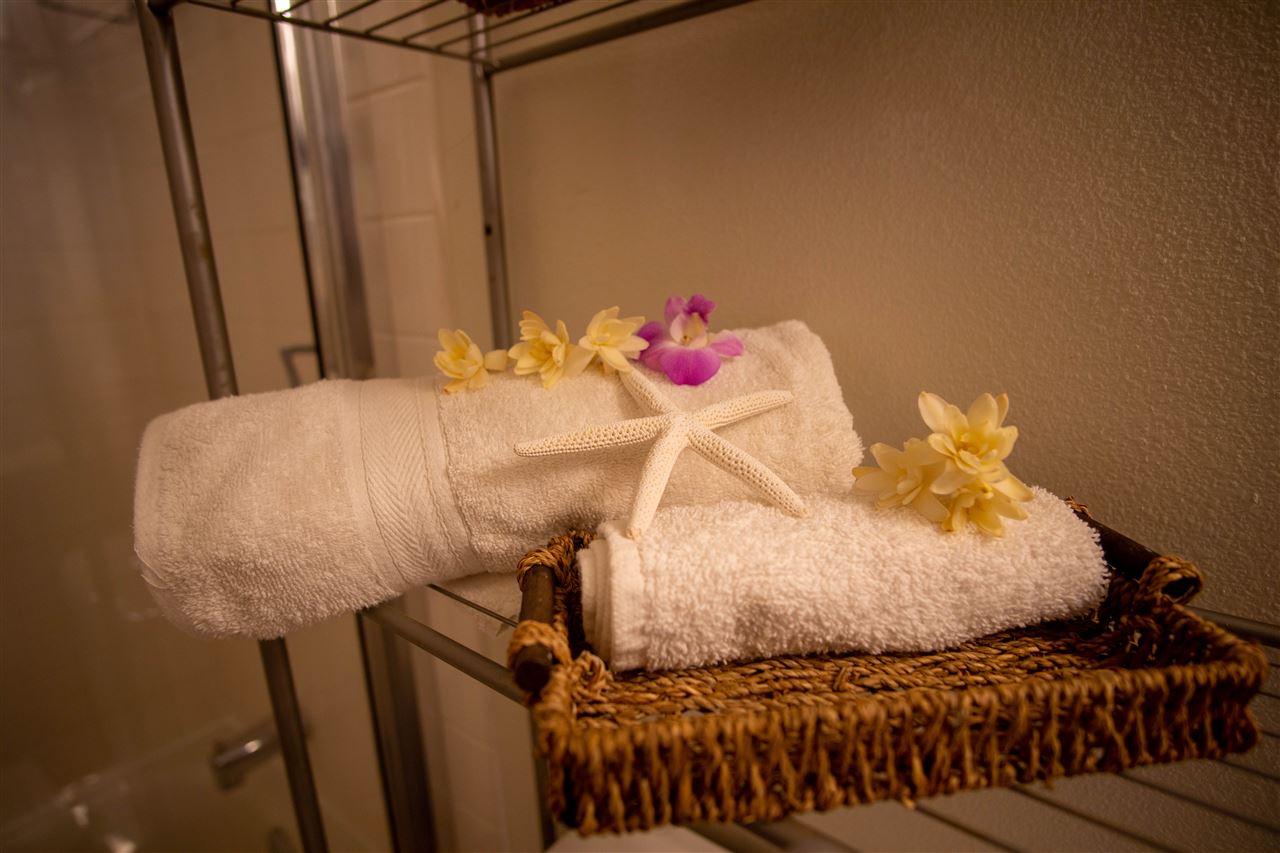 40  KAIEA Pl Kuau Bayview, Spreckelsville/Paia/Kuau home - photo 23 of 30