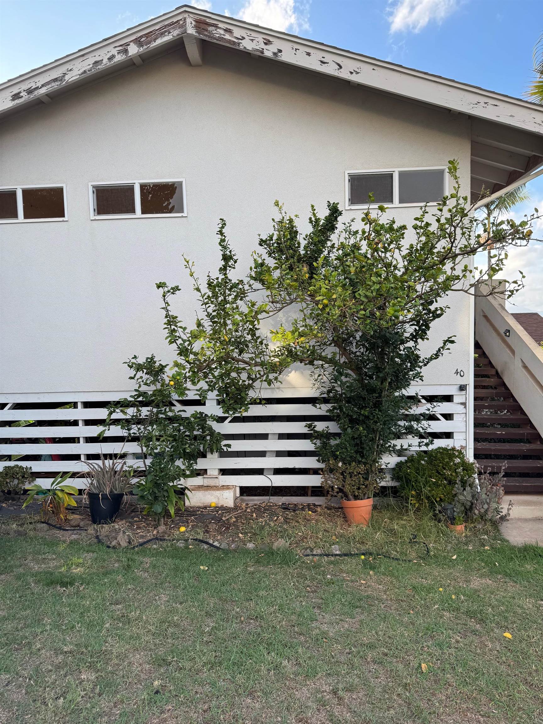 40  Kalihi Pl , Kula/Ulupalakua/Kanaio home - photo 10 of 15