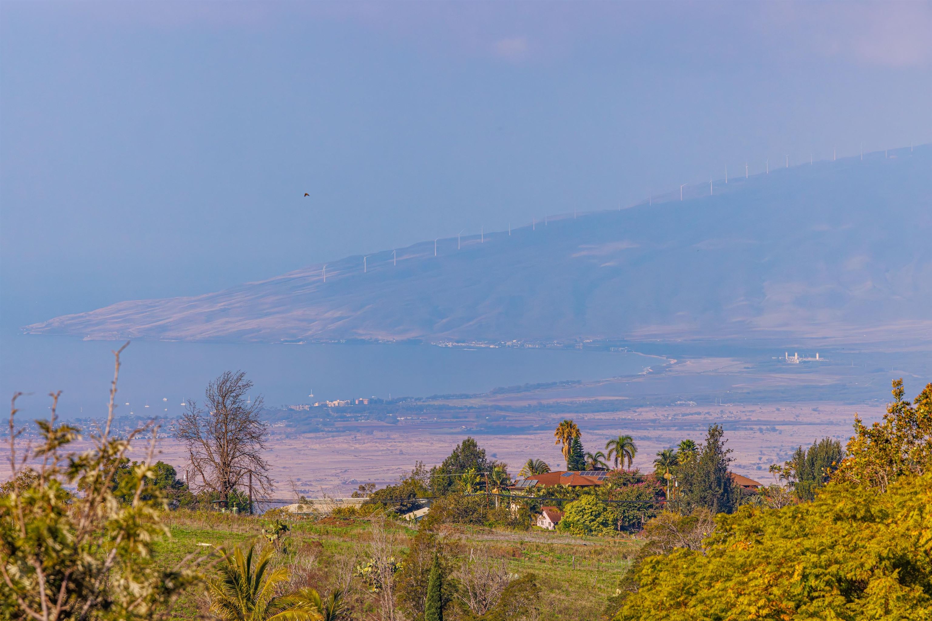 40  Kapalulu Pl , Kula/Ulupalakua/Kanaio home - photo 13 of 45