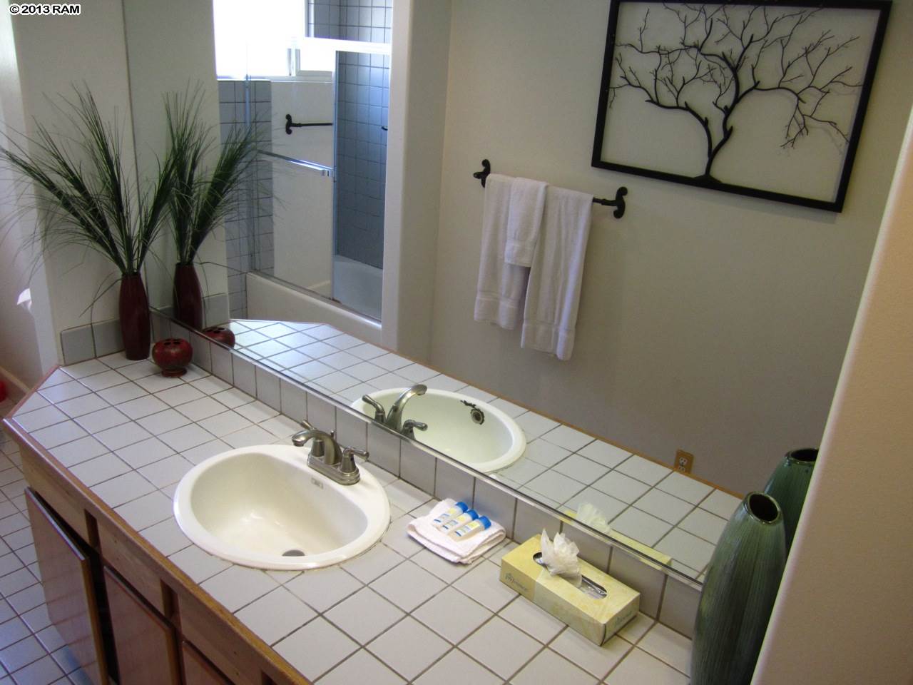 40  Kepola Pl Kahana, Napili/Kahana/Honokowai home - photo 14 of 30