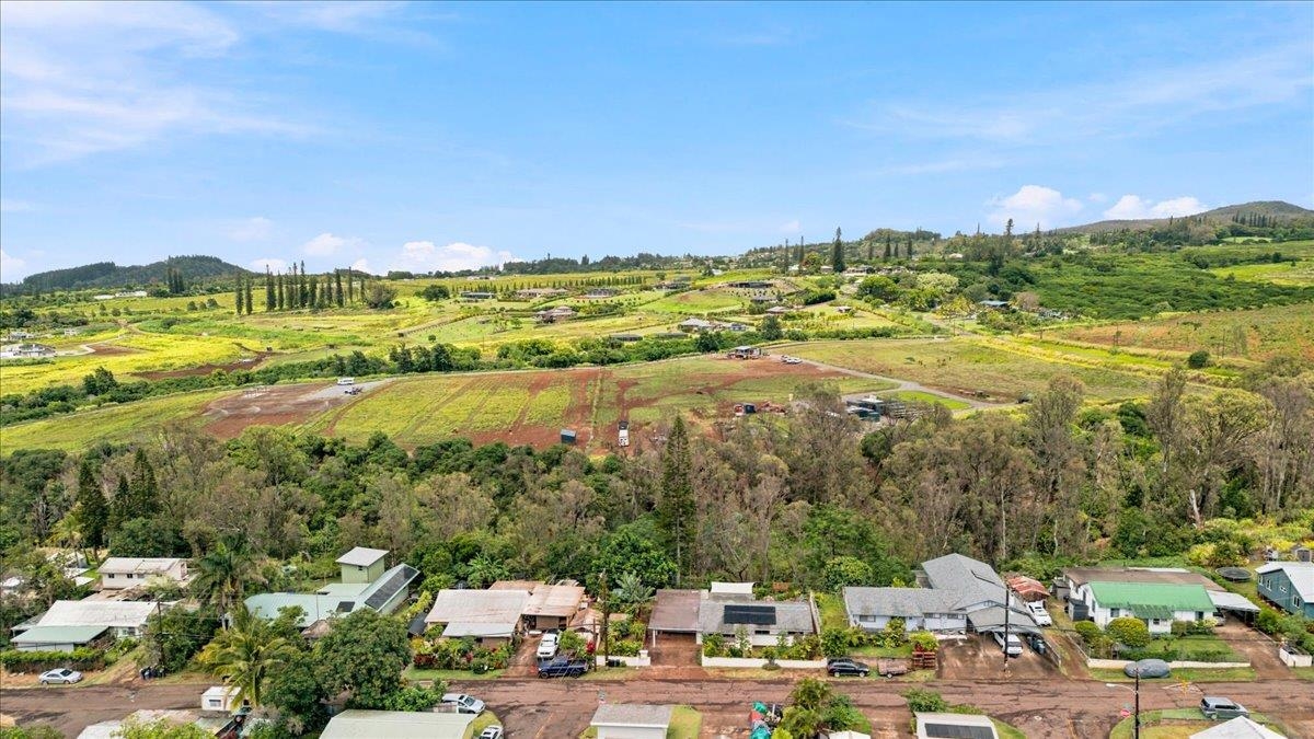 40  Leie St Haliimaile, Makawao/Olinda/Haliimaile home - photo 46 of 50