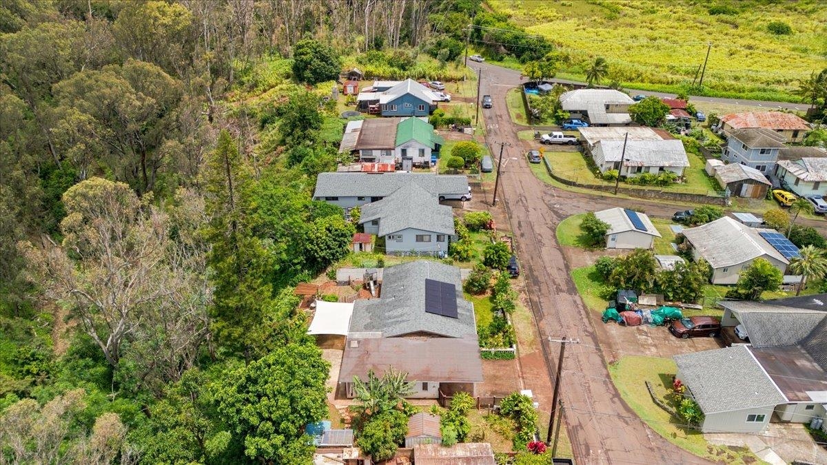 40  Leie St Haliimaile, Makawao/Olinda/Haliimaile home - photo 48 of 50