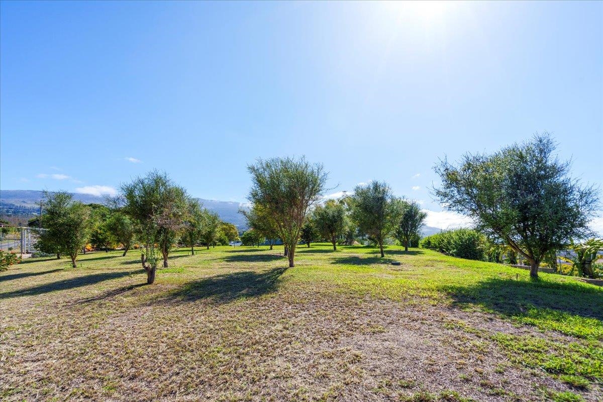 40  Pulehu Nui Rd , Kula/Ulupalakua/Kanaio home - photo 37 of 49