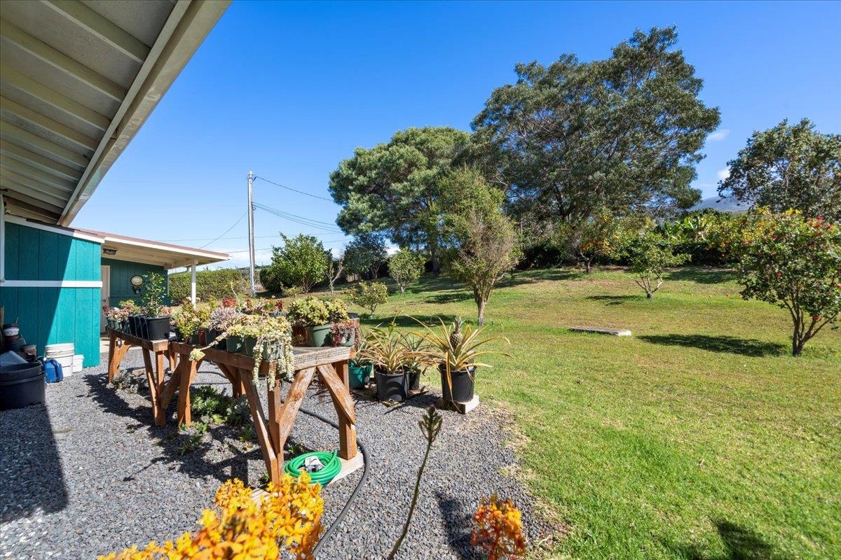 40  Pulehu Nui Rd , Kula/Ulupalakua/Kanaio home - photo 43 of 49