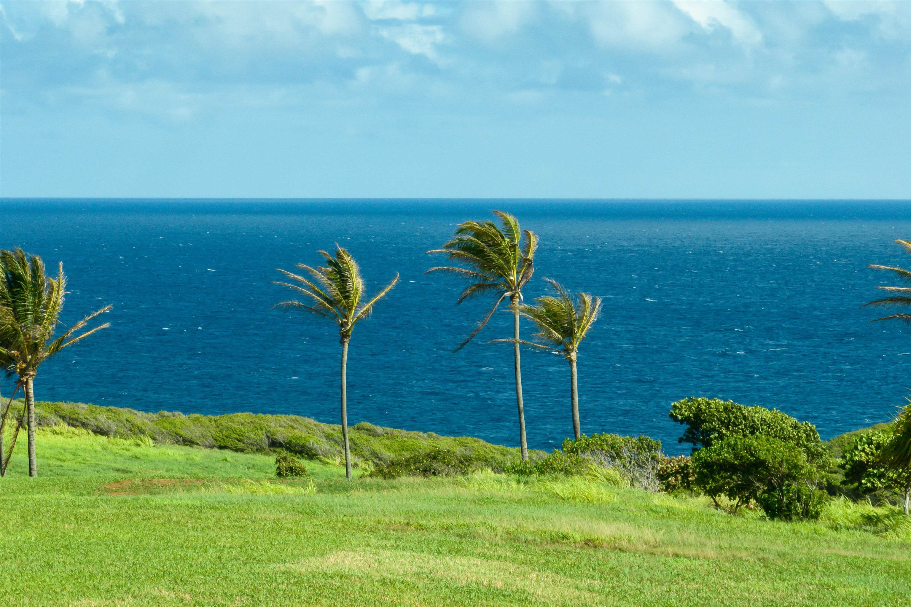 400 Kai Huki Cir Lot 16 Haiku, Hi vacant land for sale - photo 11 of 19