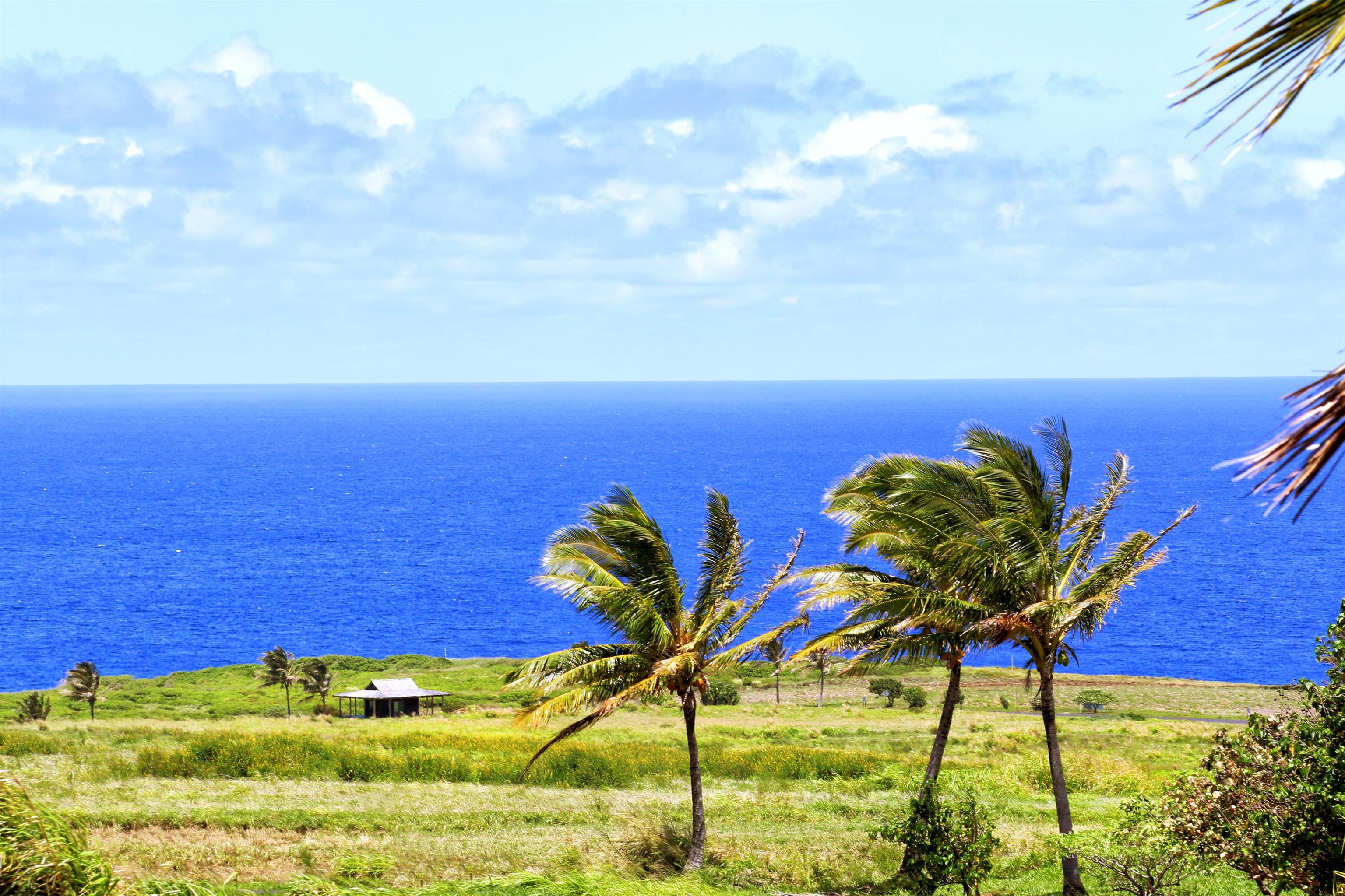 400 Kai Huki Cir Lot 16 Haiku, Hi vacant land for sale - photo 19 of 19