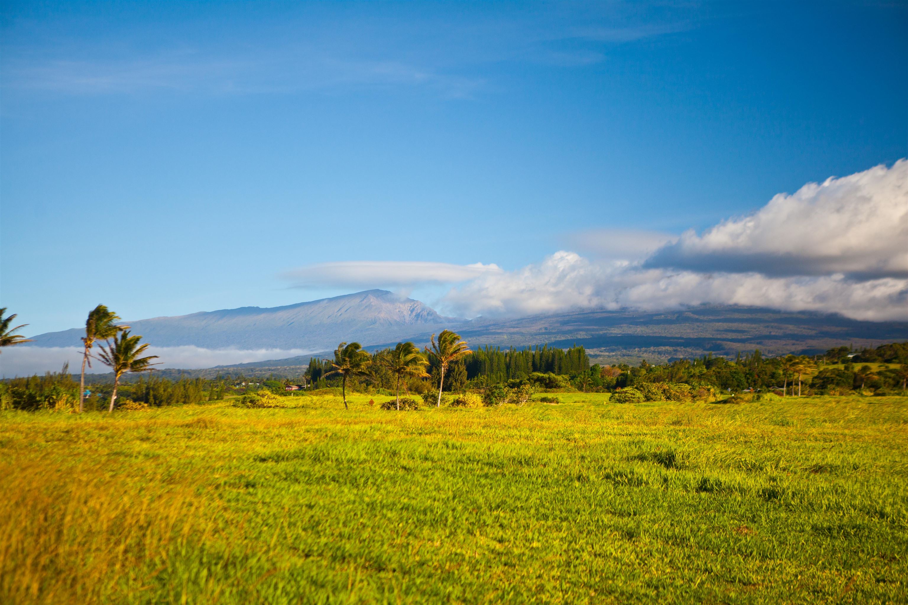 400 Kai Huki Cir Lot 16 Haiku, Hi vacant land for sale - photo 5 of 19