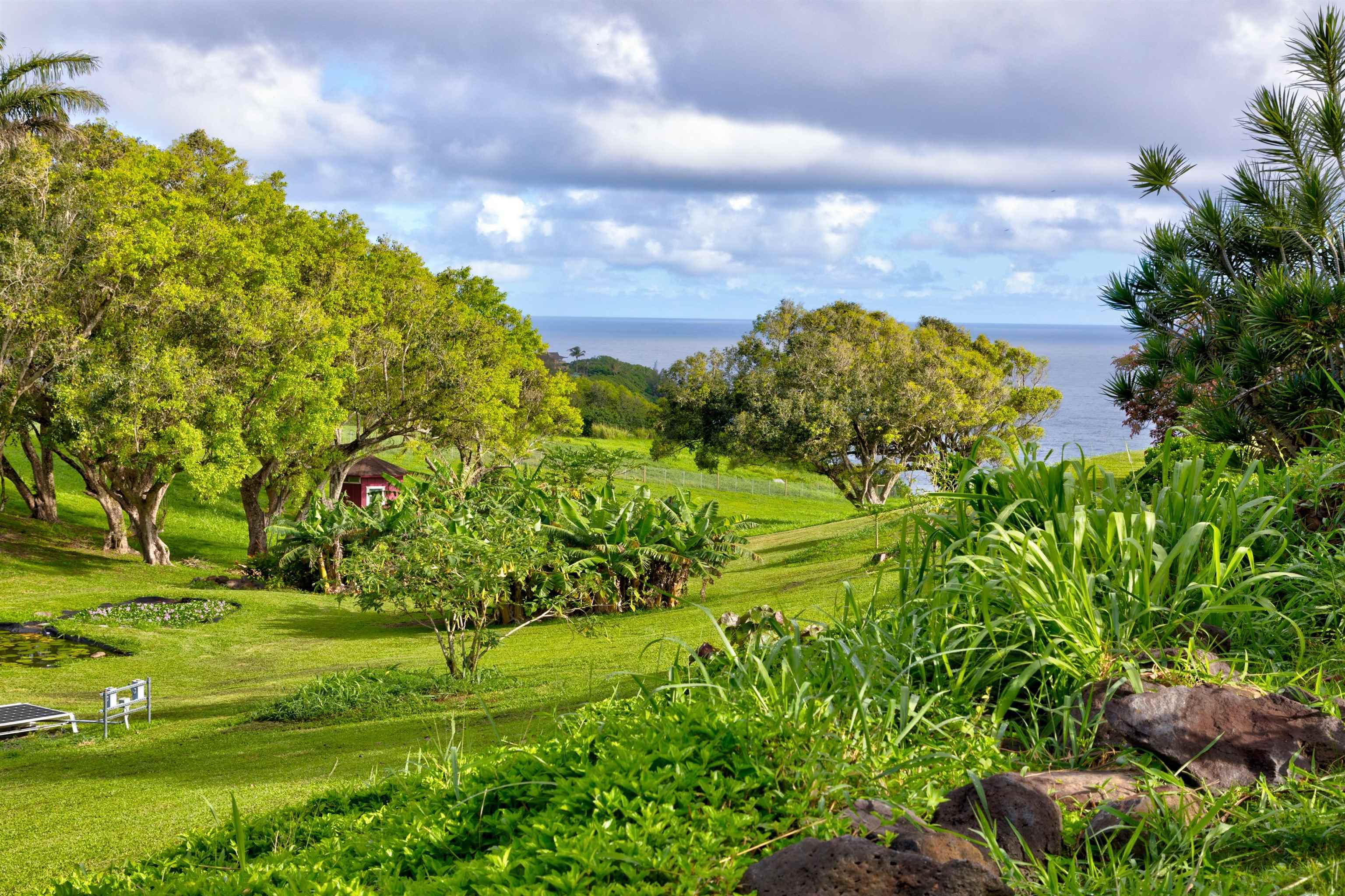 400  Mehana Rd Manawai, Haiku home - photo 46 of 50