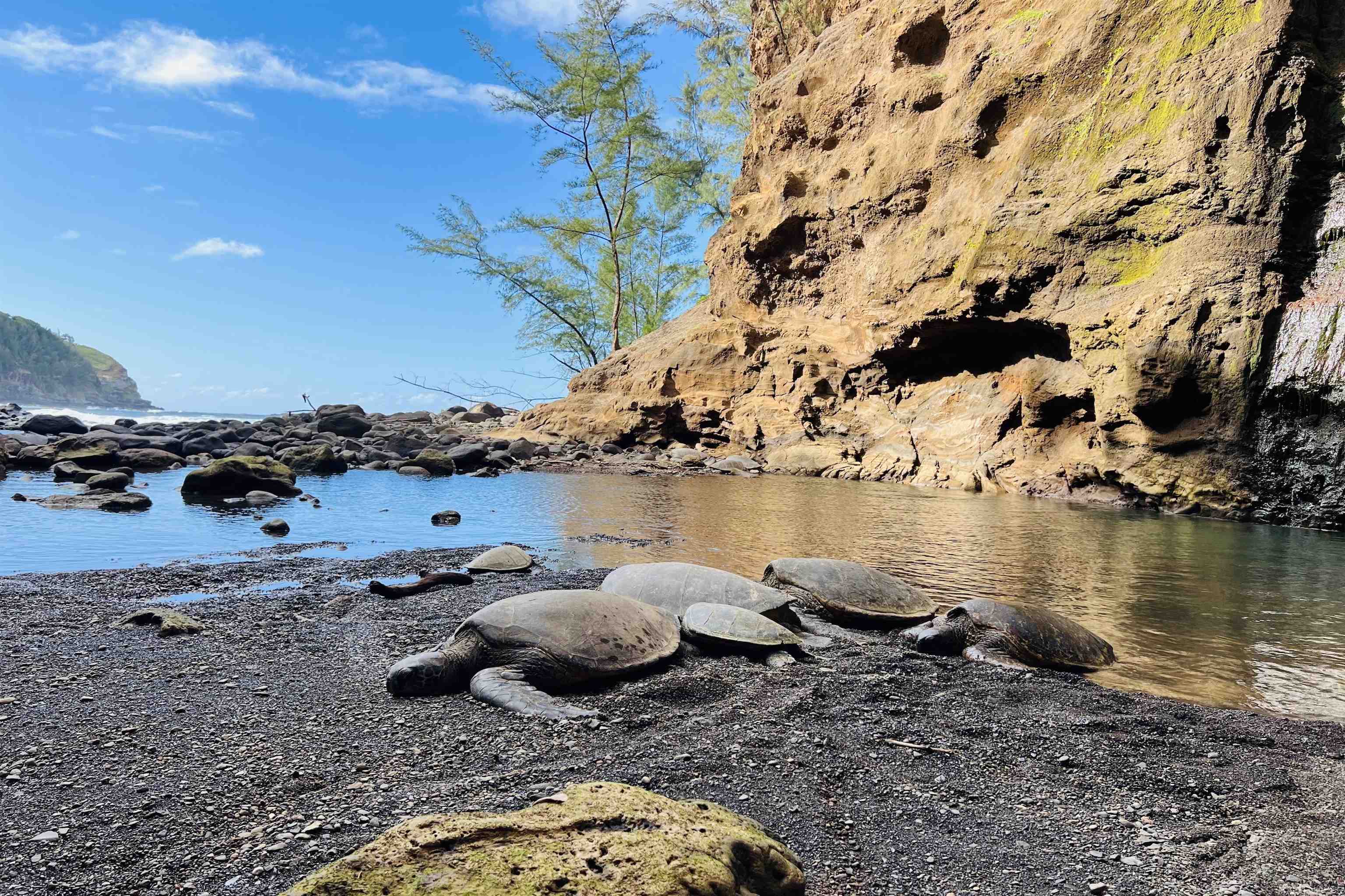 400  Mehana Rd Manawai, Haiku home - photo 45 of 50