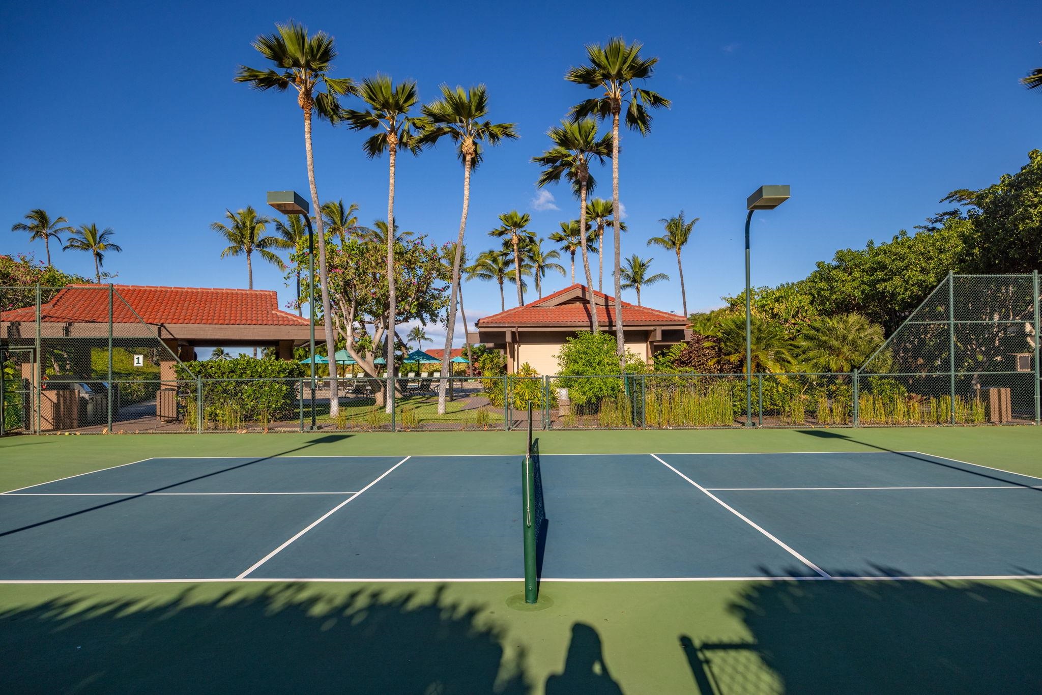 Wailea Point I II III condo # 1103, Kihei, Hawaii - photo 45 of 48