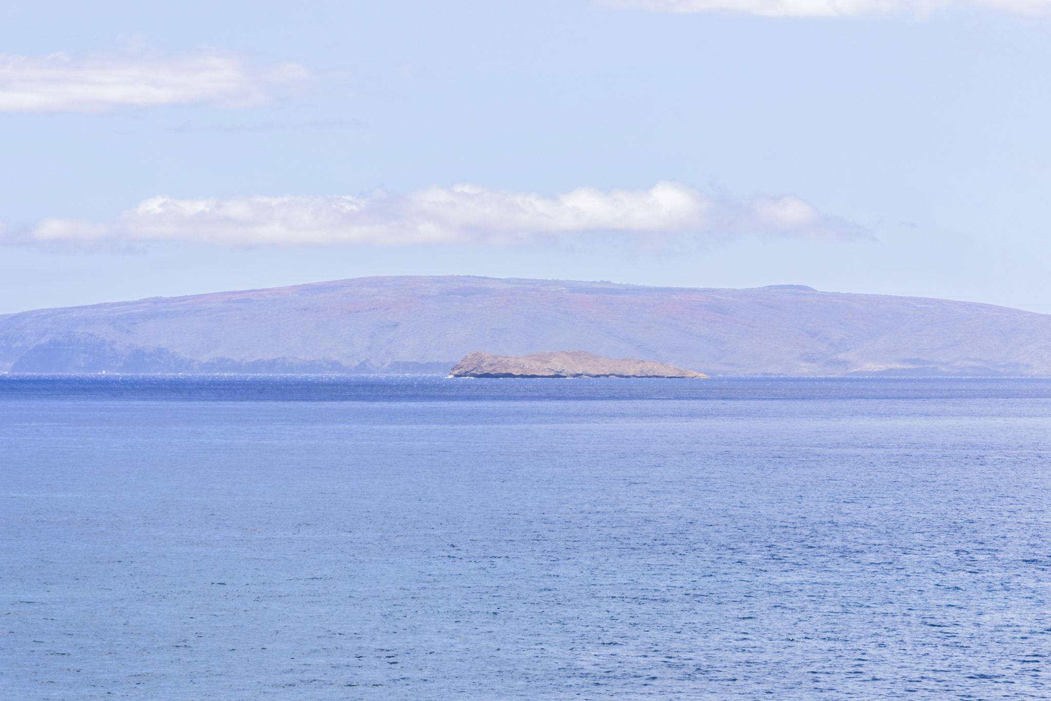 Wailea Point I II III condo # 1404, Kihei, Hawaii - photo 31 of 50