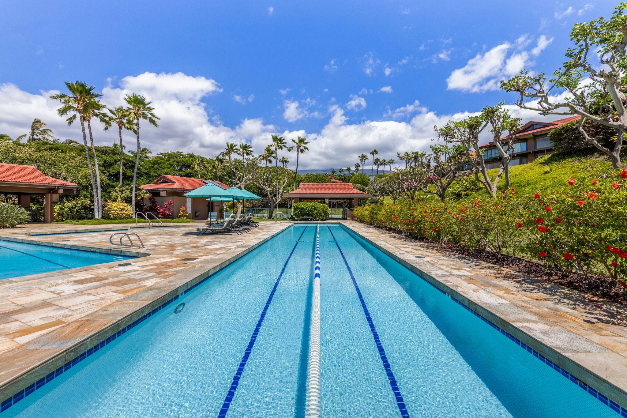 Wailea Point I II III condo # 1404, Kihei, Hawaii - photo 42 of 50