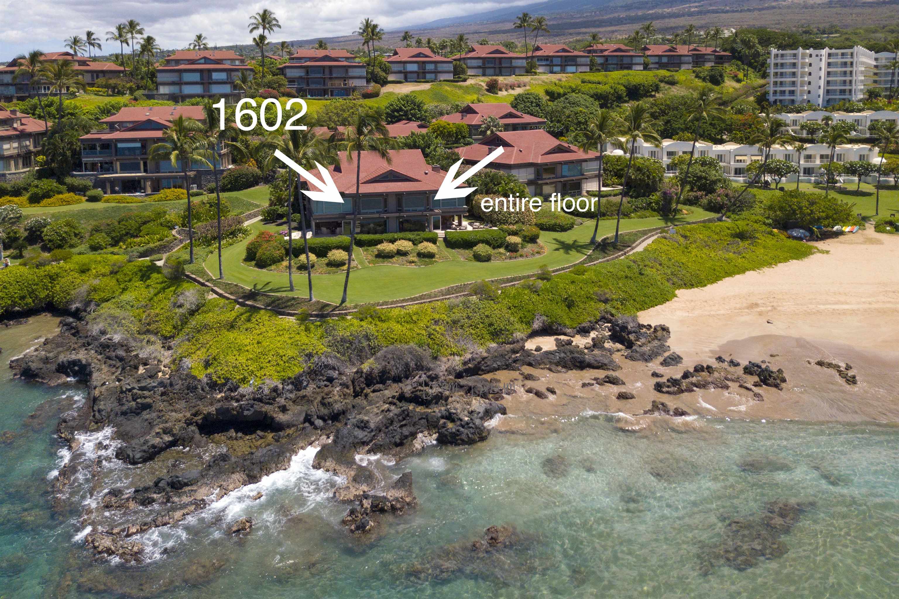Wailea Point I II III condo # 1602, Kihei, Hawaii - photo 2 of 50