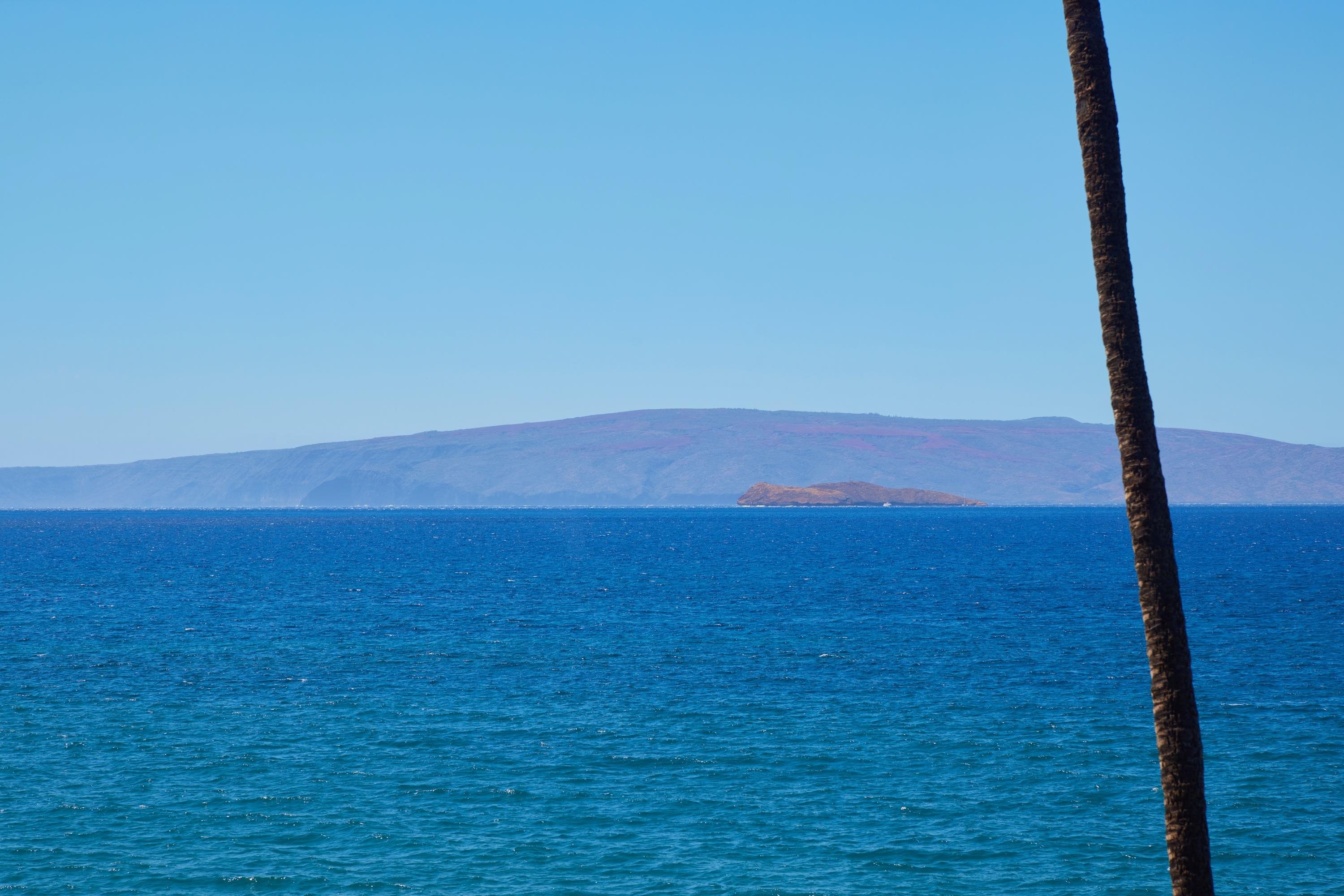 Wailea Point I II III condo # 1602, Kihei, Hawaii - photo 13 of 50