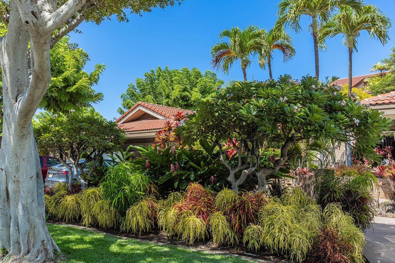 Wailea Point I II III condo # 1904, Kihei, Hawaii - photo 32 of 50