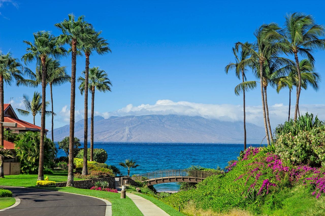 Wailea Point I II III condo # 1904, Kihei, Hawaii - photo 49 of 50