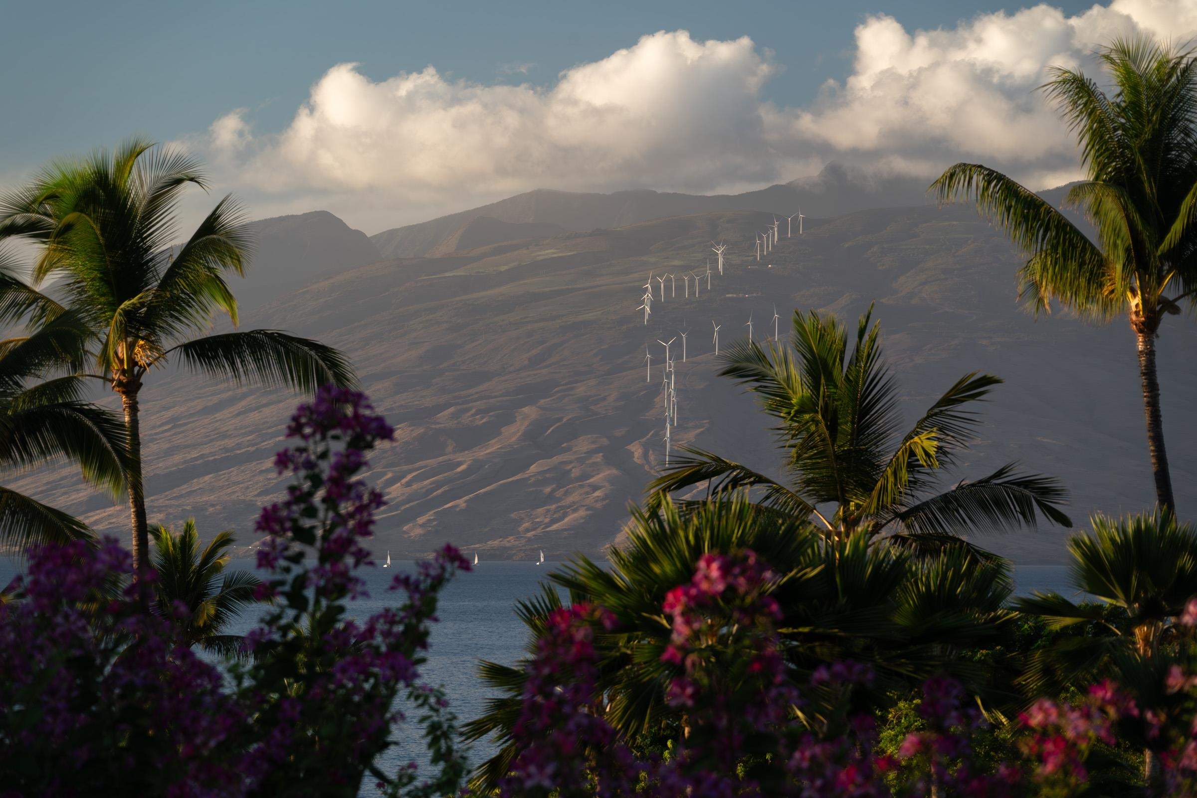 Wailea Point I II III condo # 2003, Kihei, Hawaii - photo 2 of 42