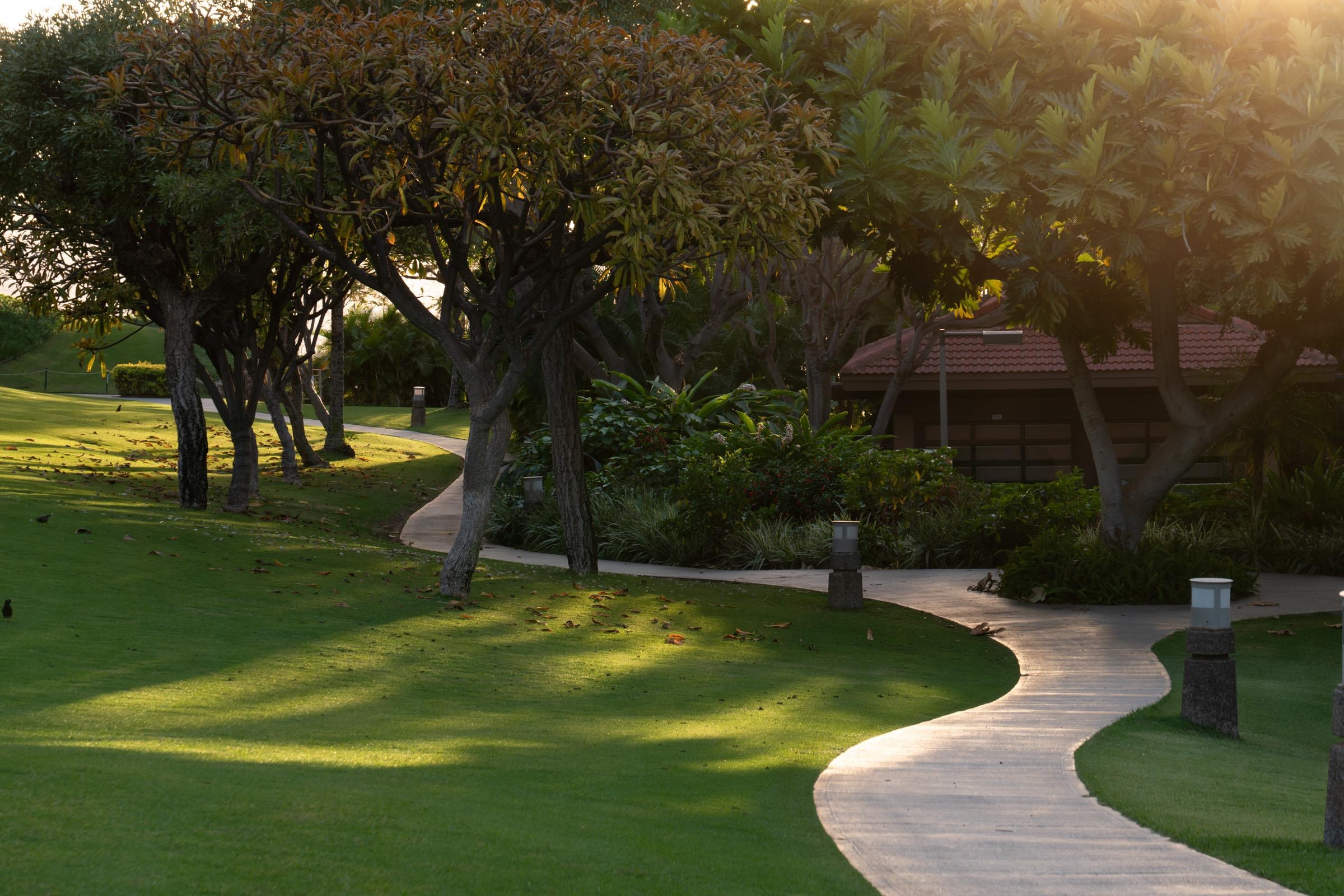 Wailea Point I II III condo # 2003, Kihei, Hawaii - photo 12 of 42