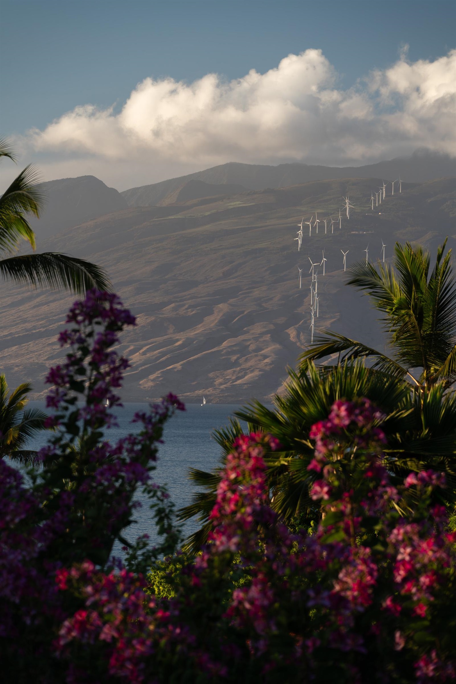 Wailea Point I II III condo # 2003, Kihei, Hawaii - photo 16 of 42