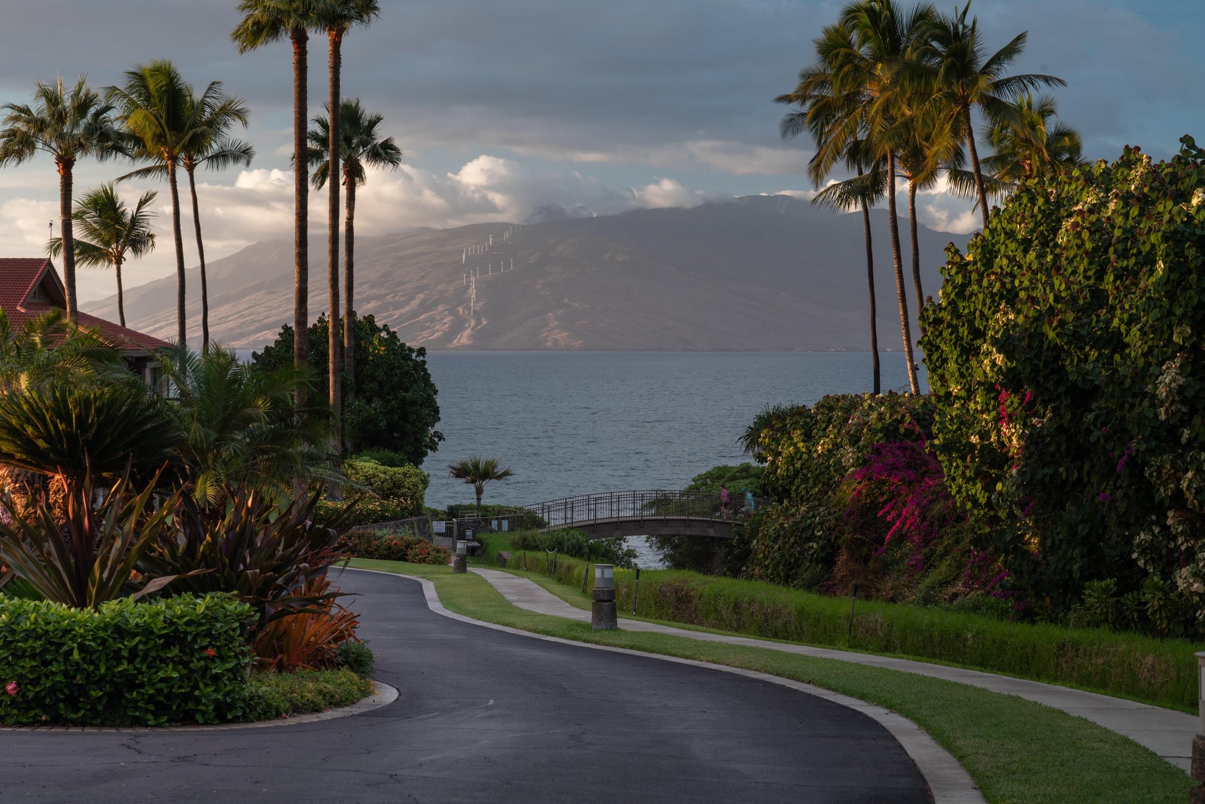 Wailea Point I II III condo # 2003, Kihei, Hawaii - photo 19 of 42