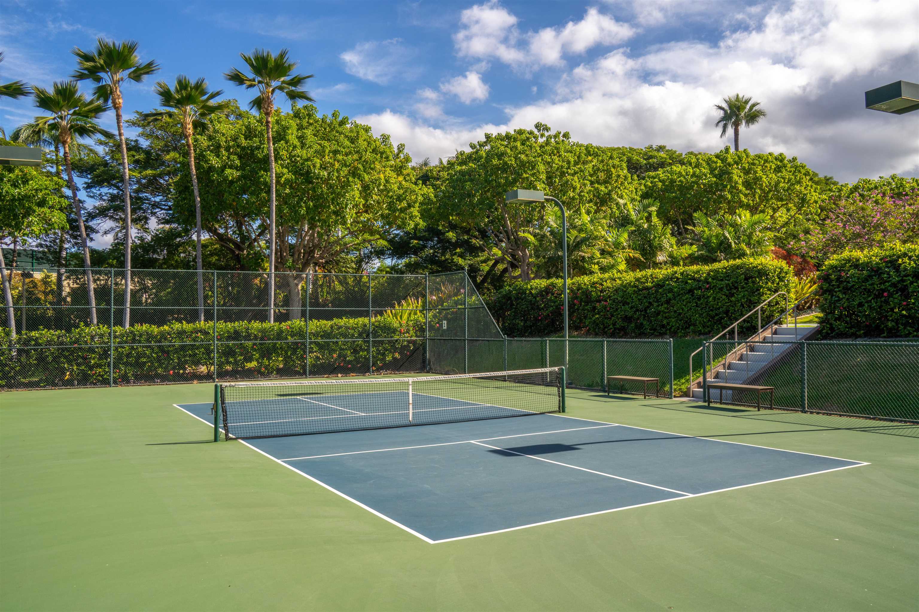 Wailea Point I II III condo # 2003, Kihei, Hawaii - photo 26 of 28