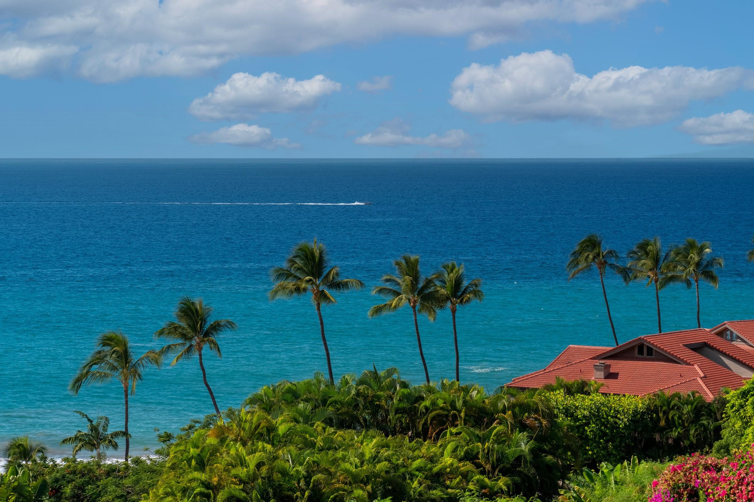 Wailea Point I II III condo # 2003, Kihei, Hawaii - photo 36 of 42