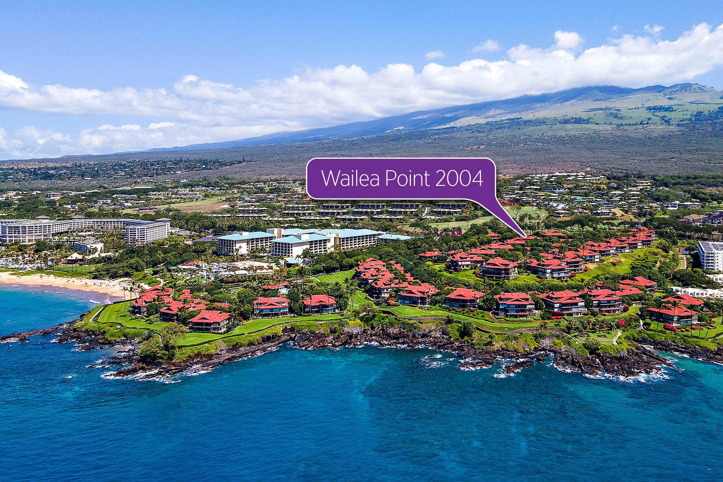 Wailea Point I II III condo # 2004, Kihei, Hawaii - photo 3 of 42