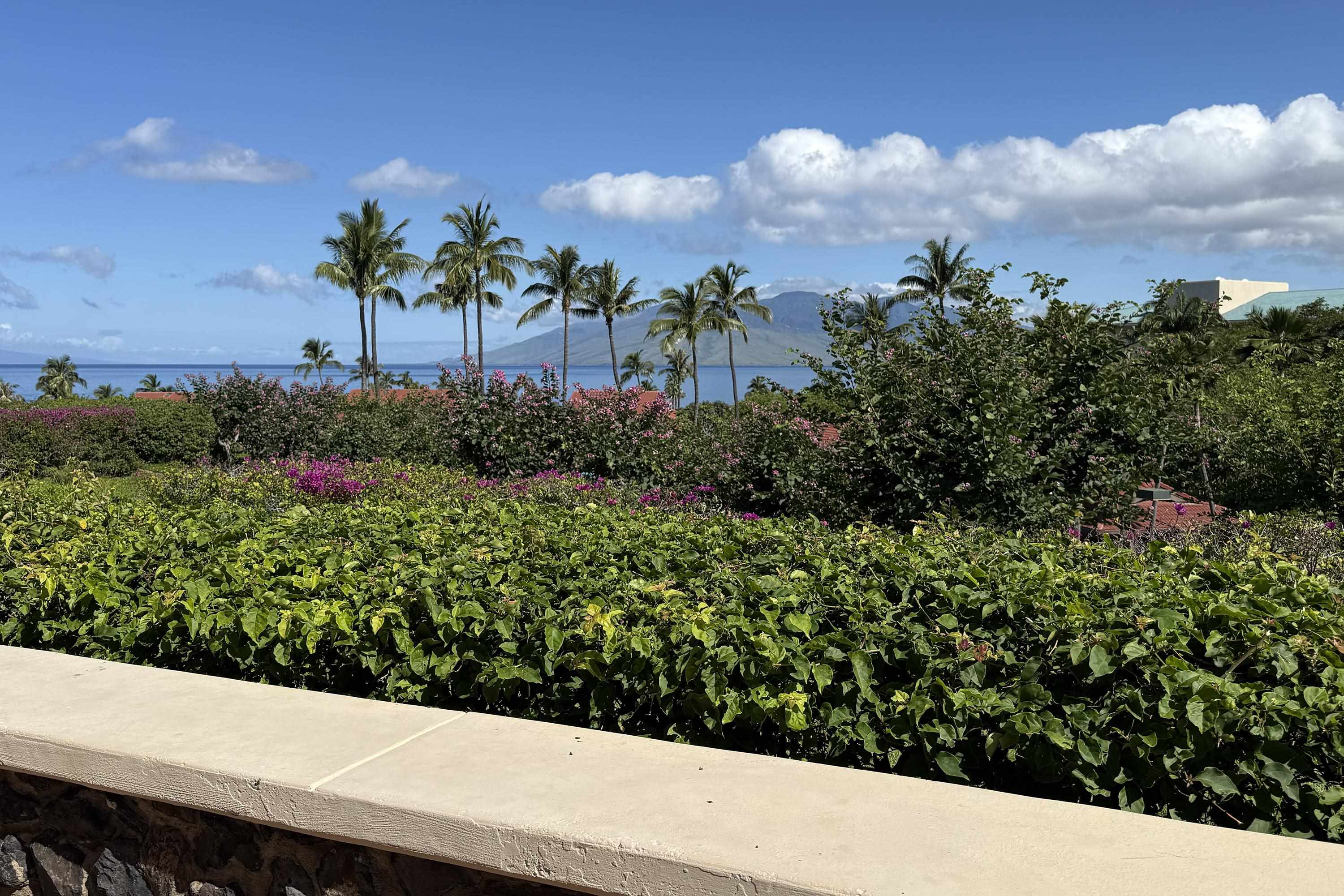 Wailea Point I II III condo # 2101, Kihei, Hawaii - photo 33 of 43