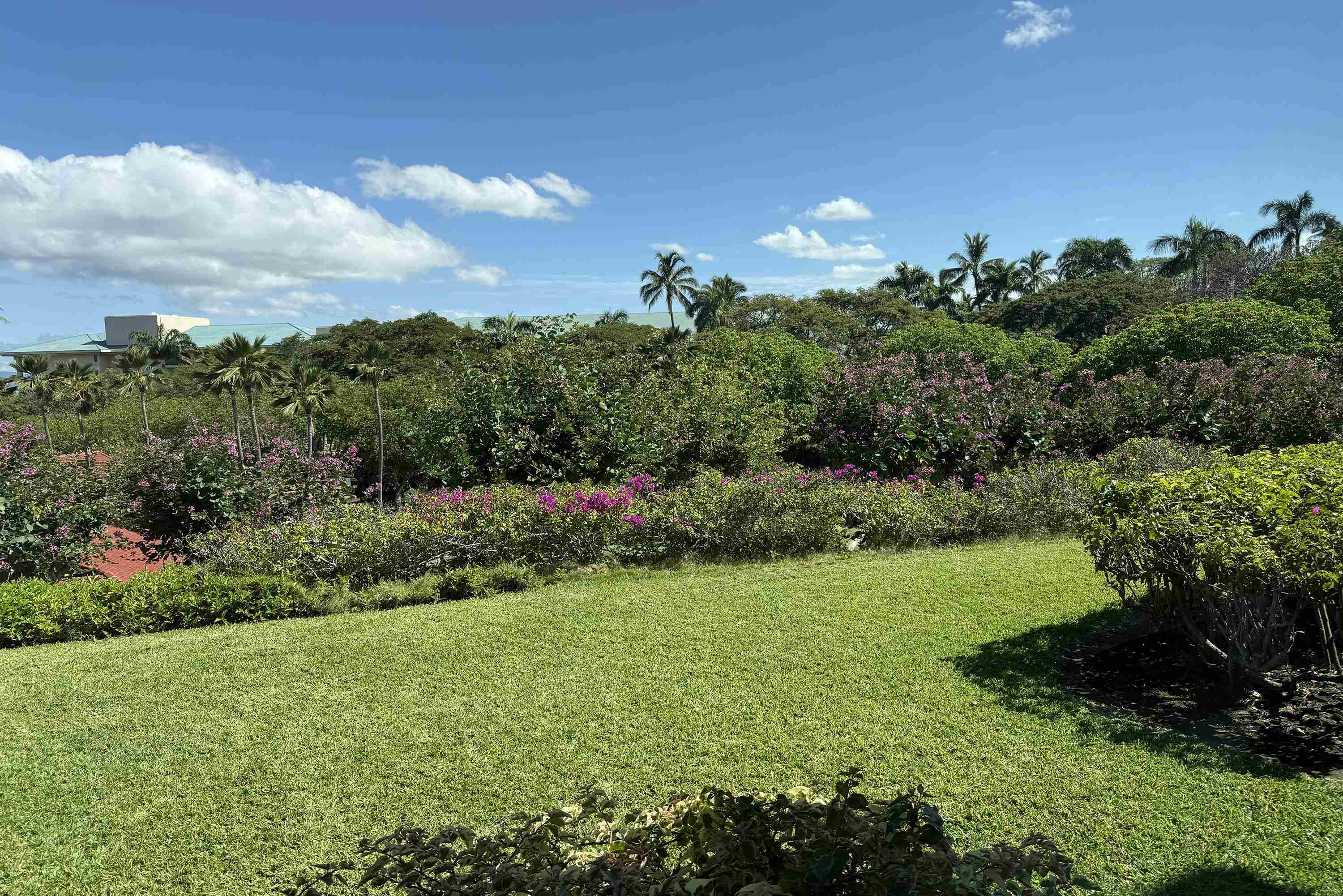 Wailea Point I II III condo # 2101, Kihei, Hawaii - photo 34 of 43