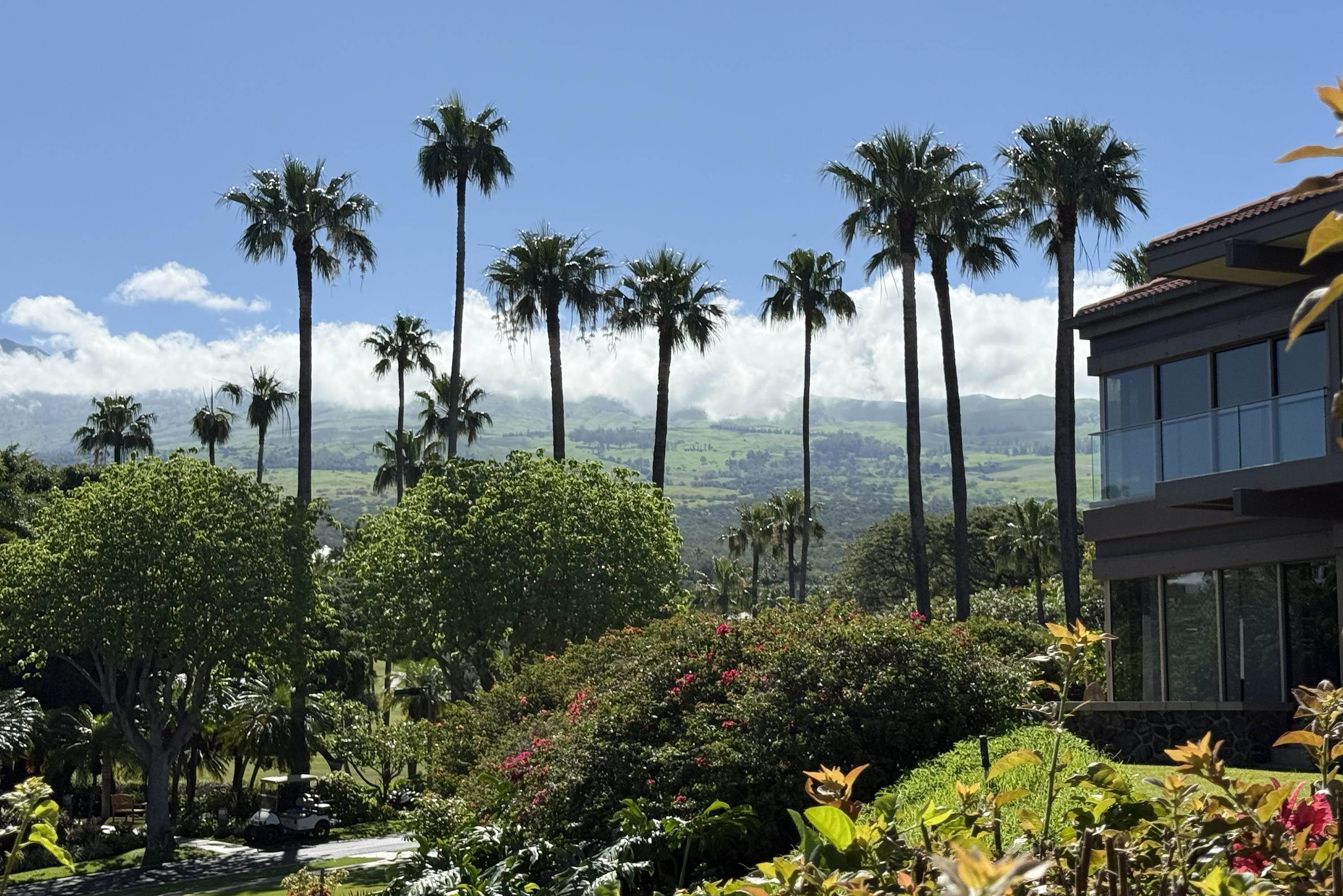 Wailea Point I II III condo # 2101, Kihei, Hawaii - photo 6 of 43
