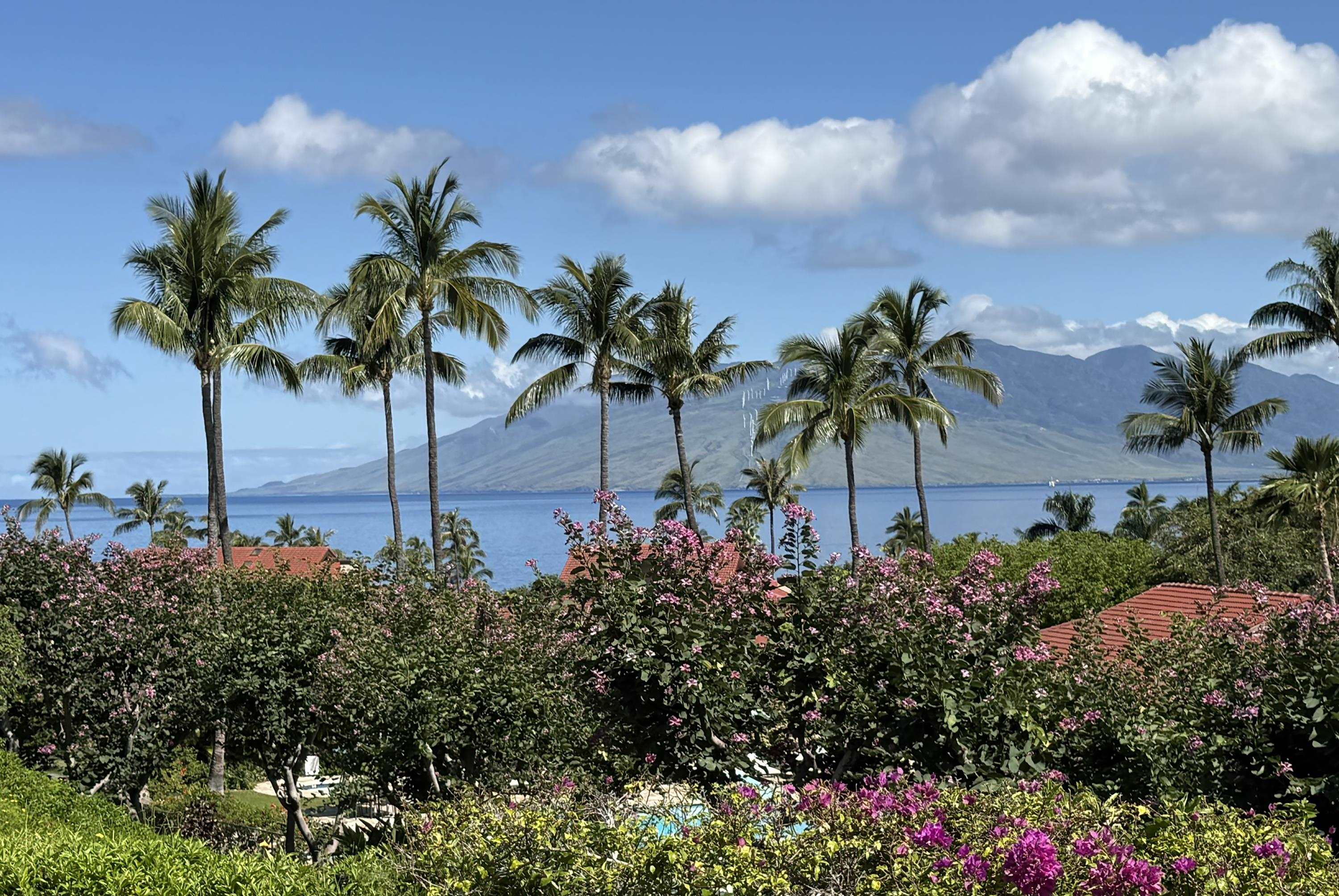 Wailea Point I II III condo # 2101, Kihei, Hawaii - photo 7 of 43