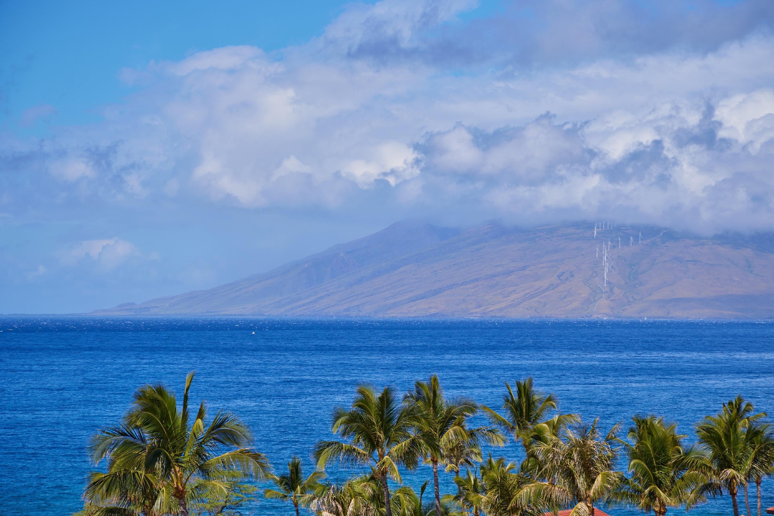 Wailea Point I II III condo # 2502, Kihei, Hawaii - photo 2 of 41