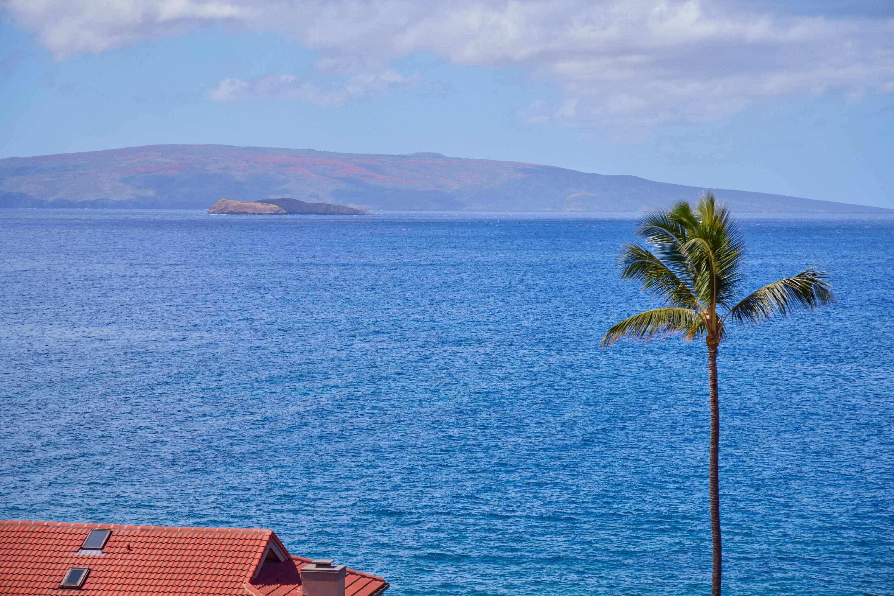 Wailea Point I II III condo # 2502, Kihei, Hawaii - photo 3 of 41