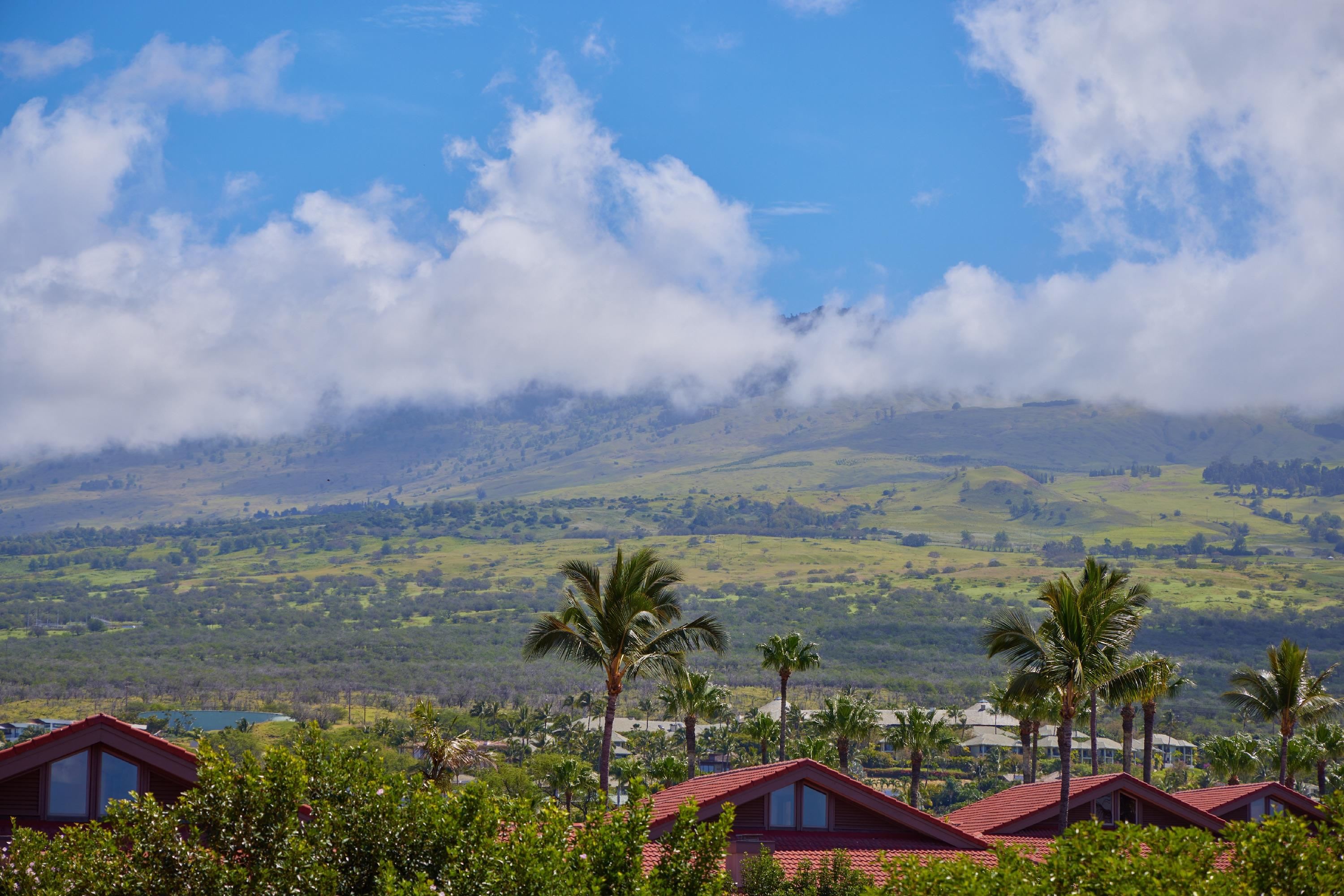 Wailea Point I II III condo # 2502, Kihei, Hawaii - photo 32 of 41