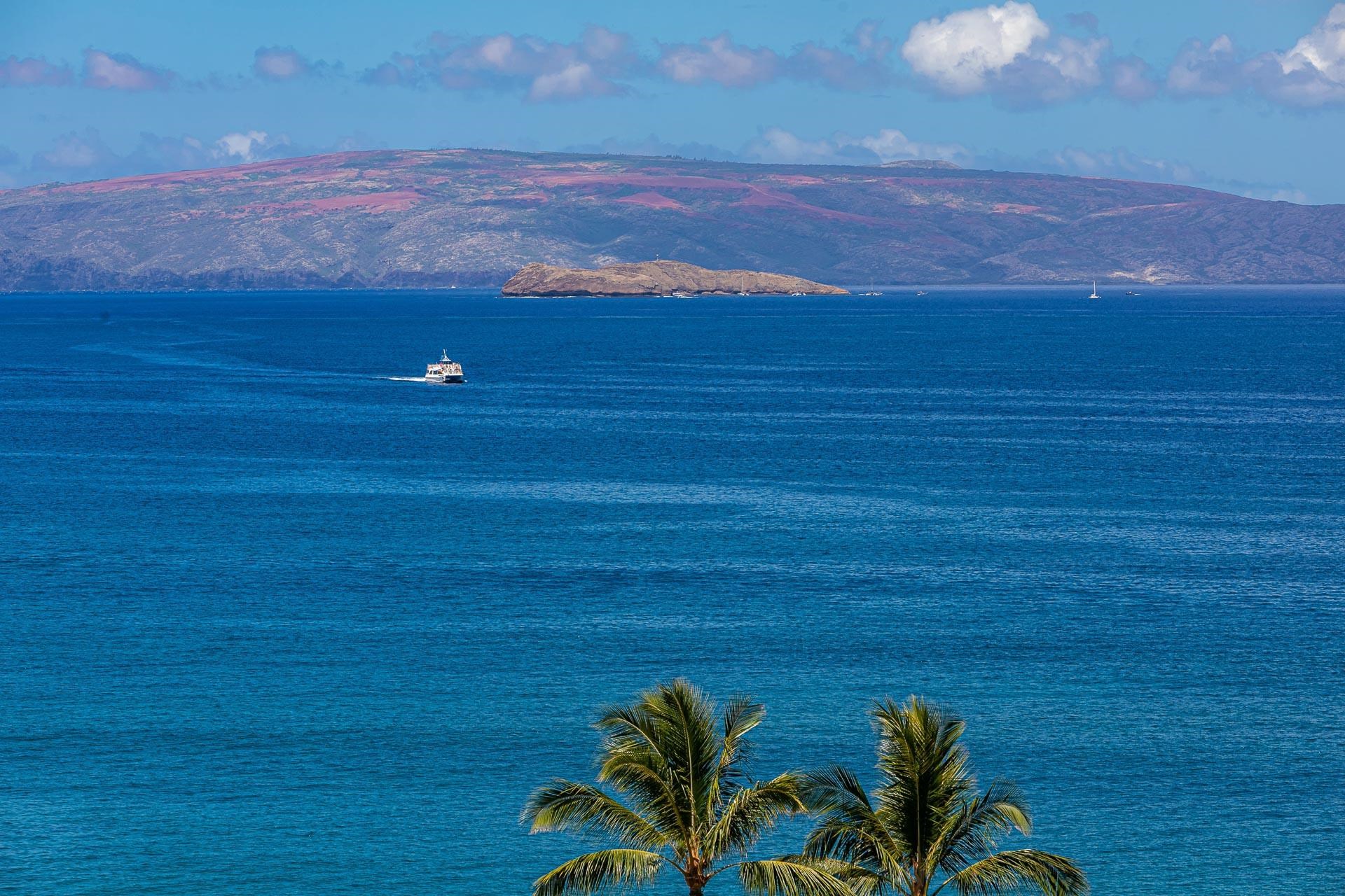 Wailea Point I II III condo # 2802, Kihei, Hawaii - photo 21 of 26