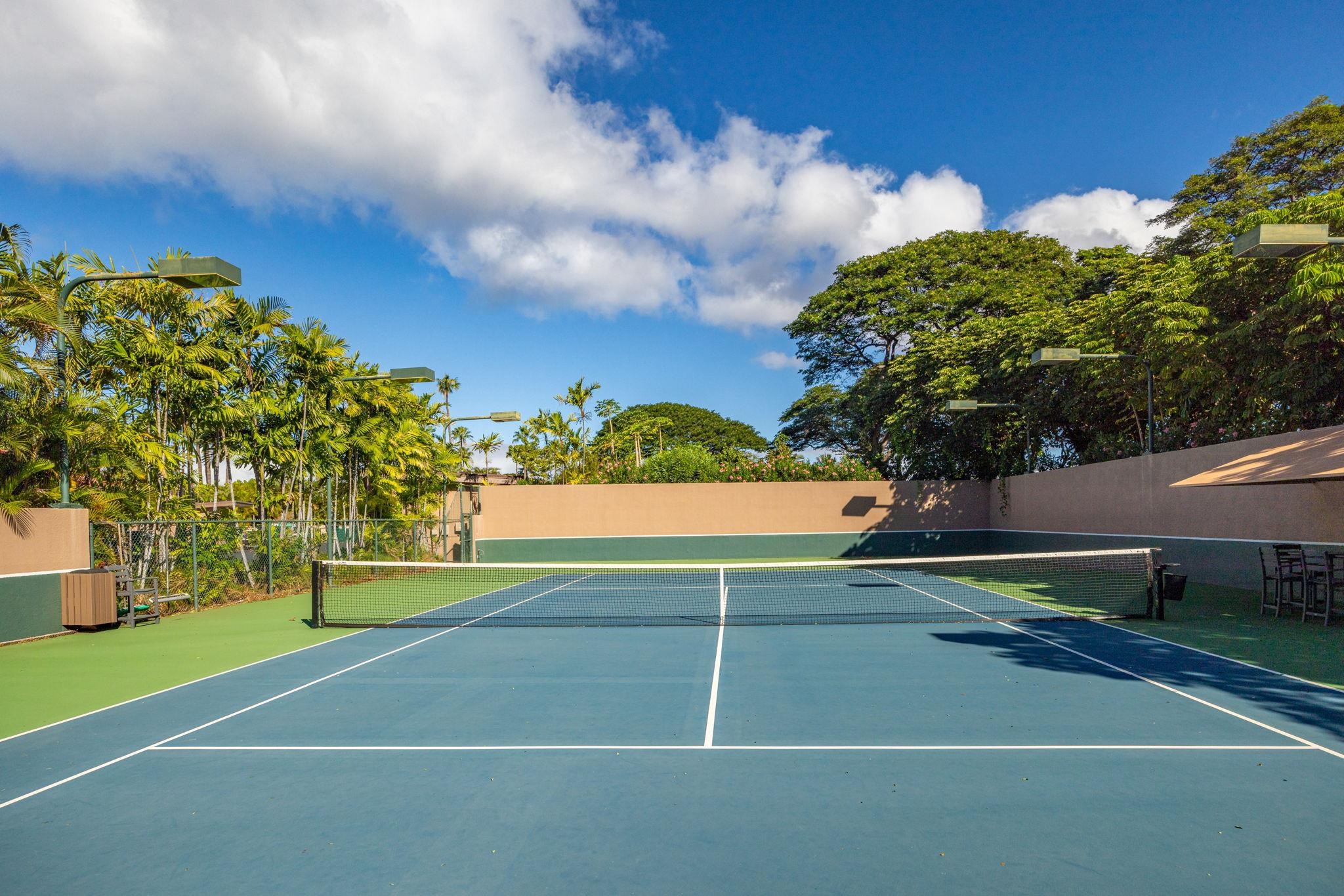 Wailea Point I II III condo # 2804, Kihei, Hawaii - photo 41 of 49