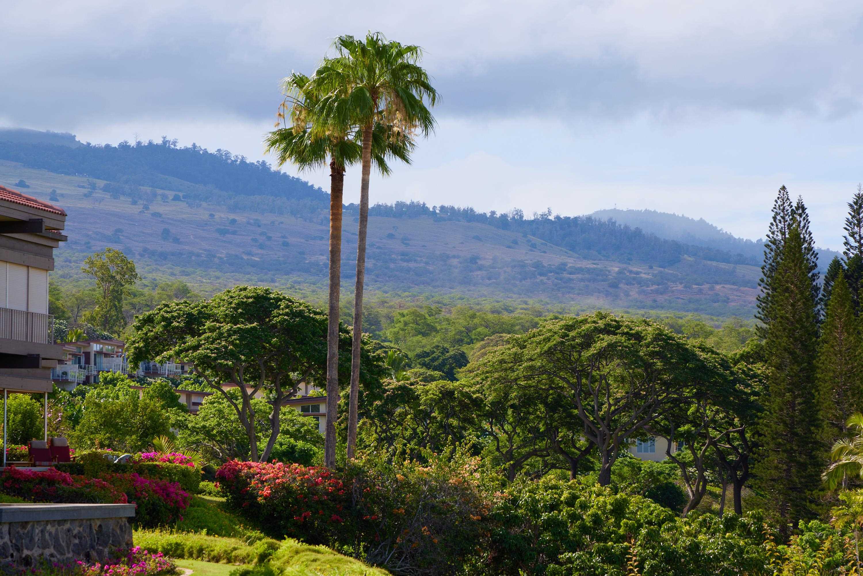 Wailea Point I II III condo # 3003, Kihei, Hawaii - photo 38 of 48