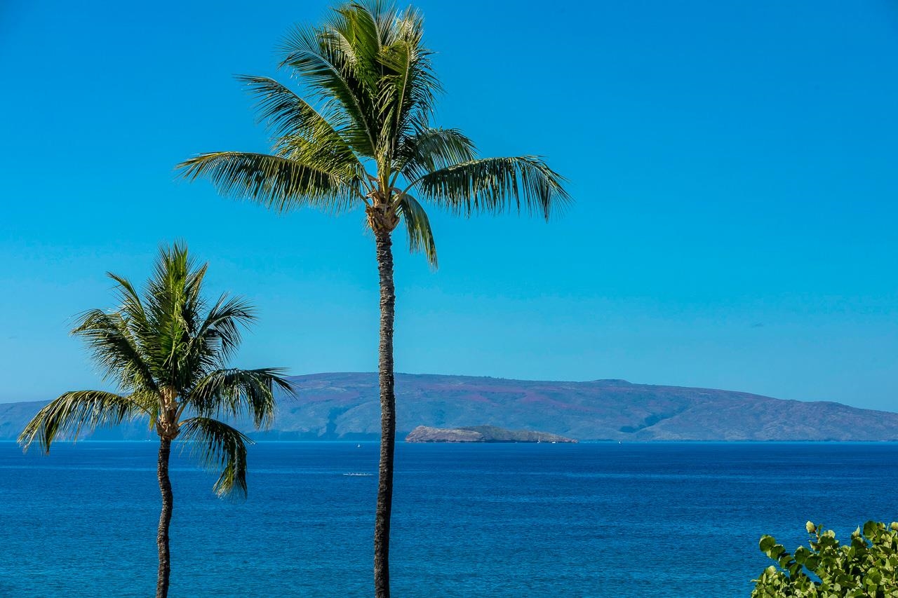 Wailea Point I II III condo # 3404, Kihei, Hawaii - photo 4 of 48