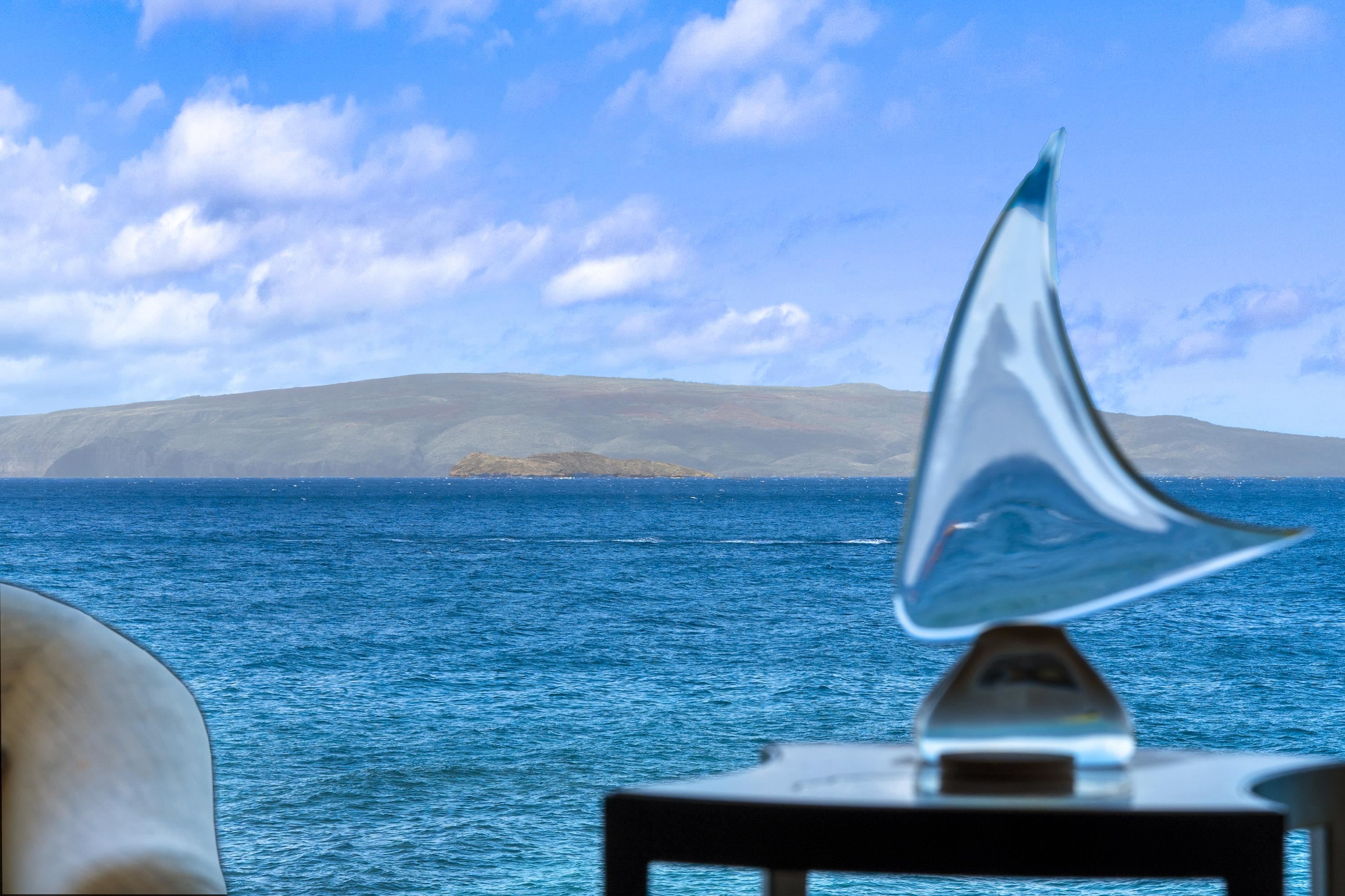 Wailea Point I II III condo # 502, Kihei, Hawaii - photo 29 of 48