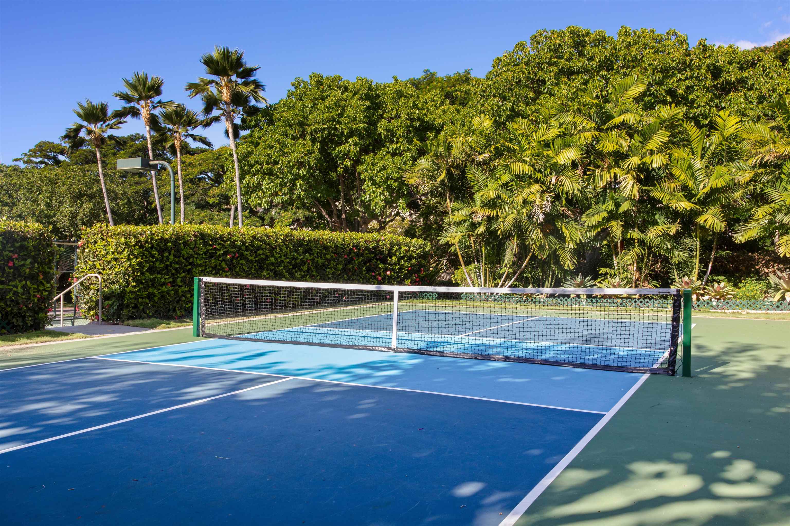 Wailea Point I II III condo # 603, Kihei, Hawaii - photo 16 of 19