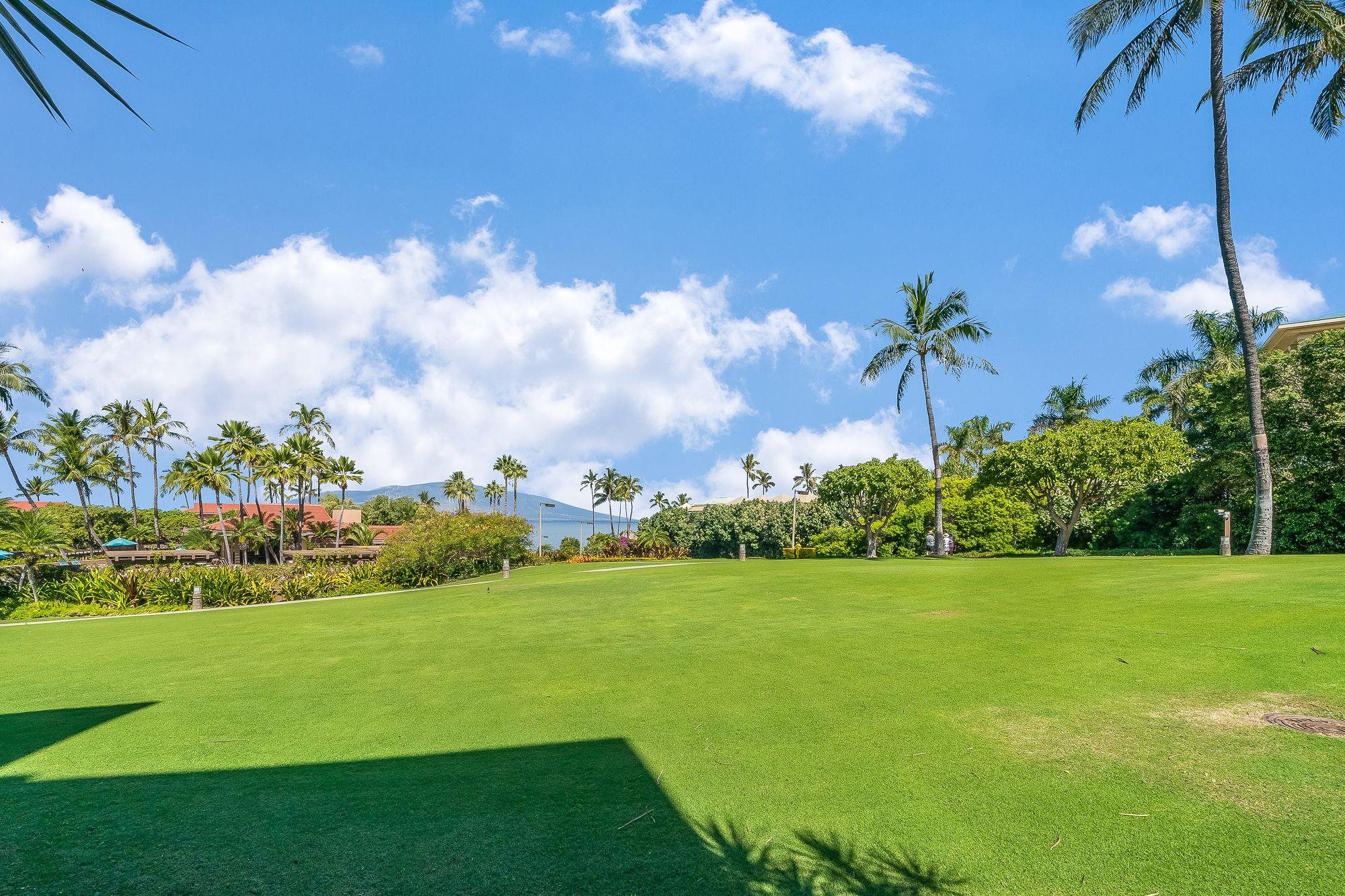 Wailea Point I II III condo # 801, Kihei, Hawaii - photo 21 of 32