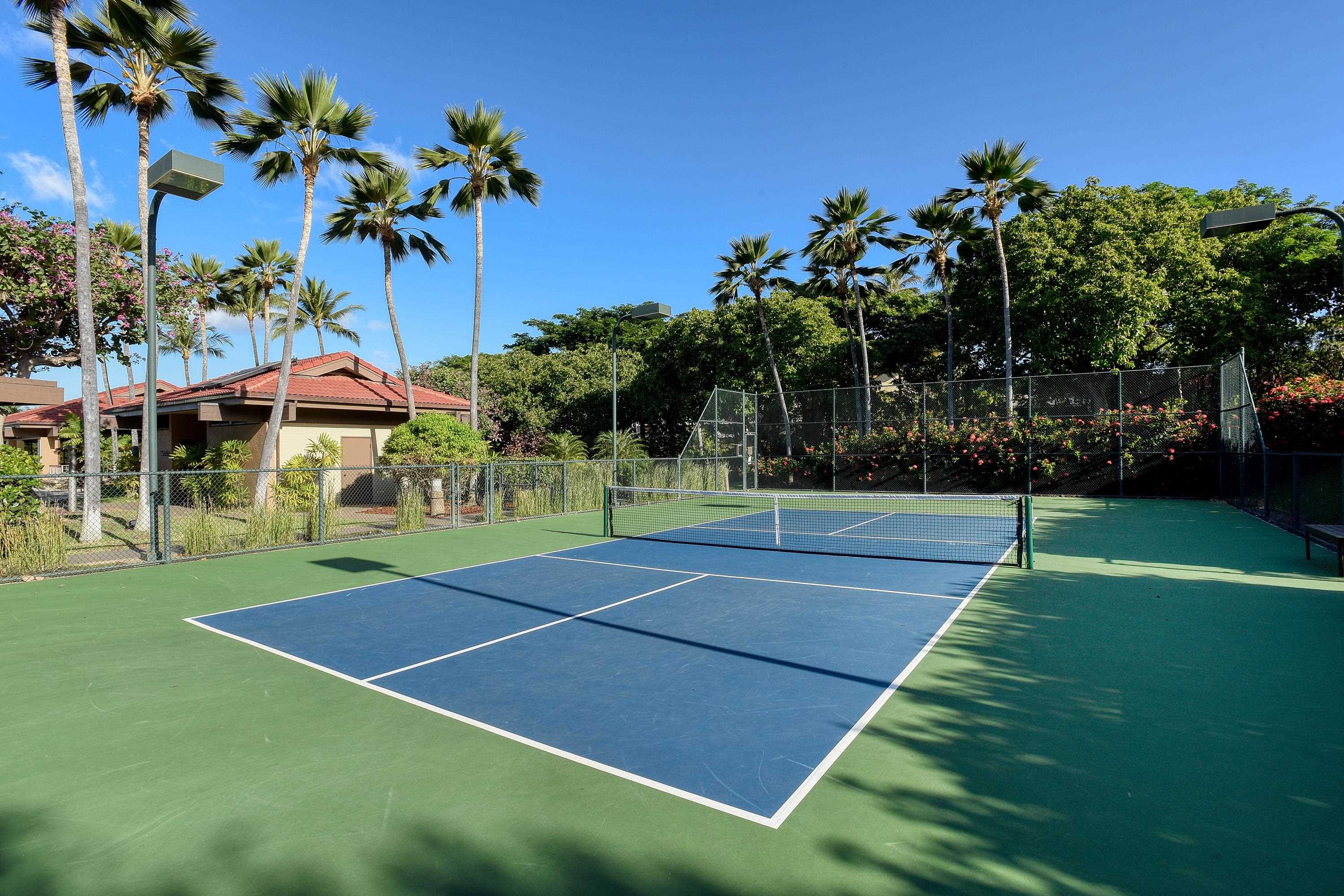 Wailea Point I II III condo # 801, Kihei, Hawaii - photo 26 of 32