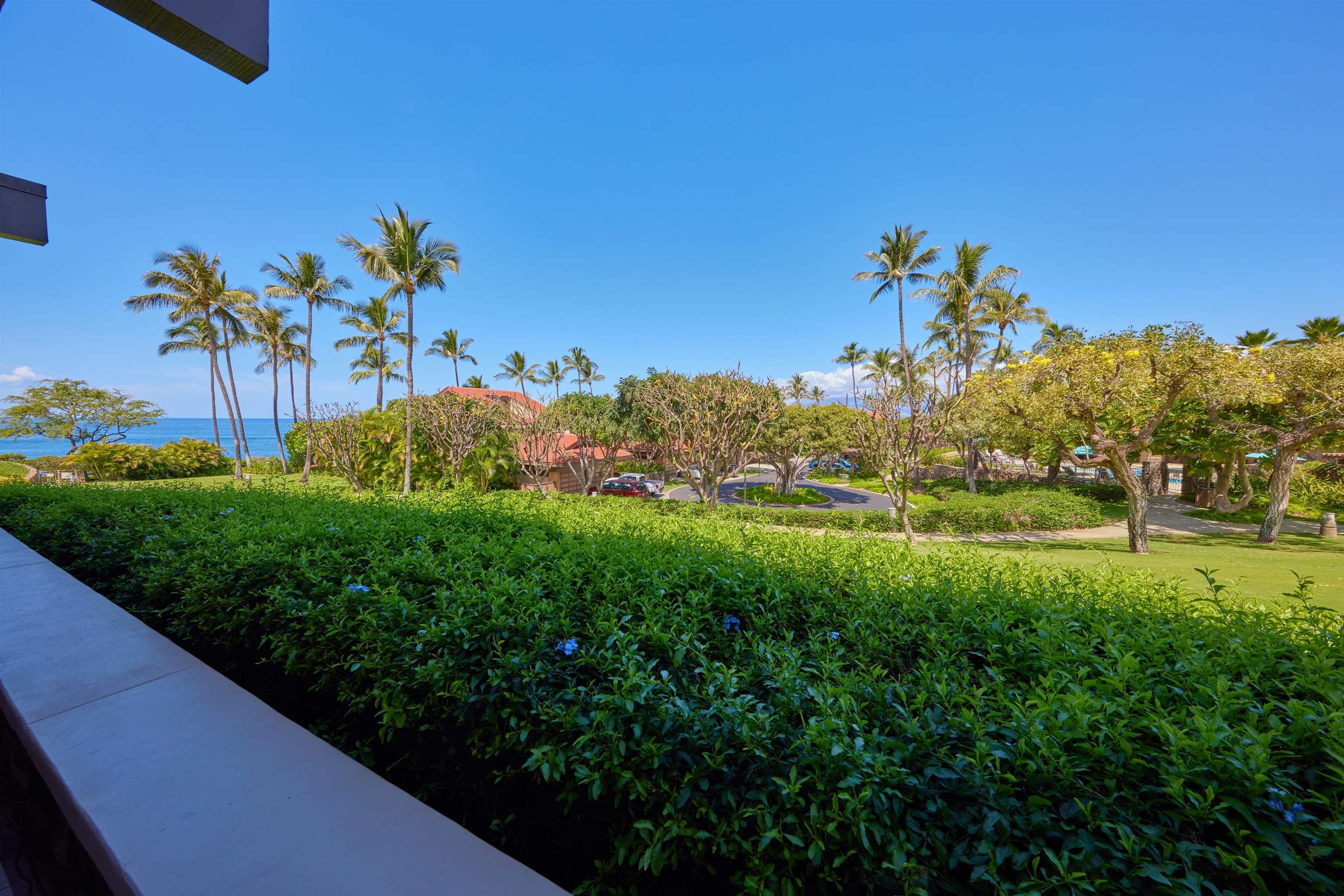 Wailea Point I II III condo # 901, Kihei, Hawaii - photo 19 of 48