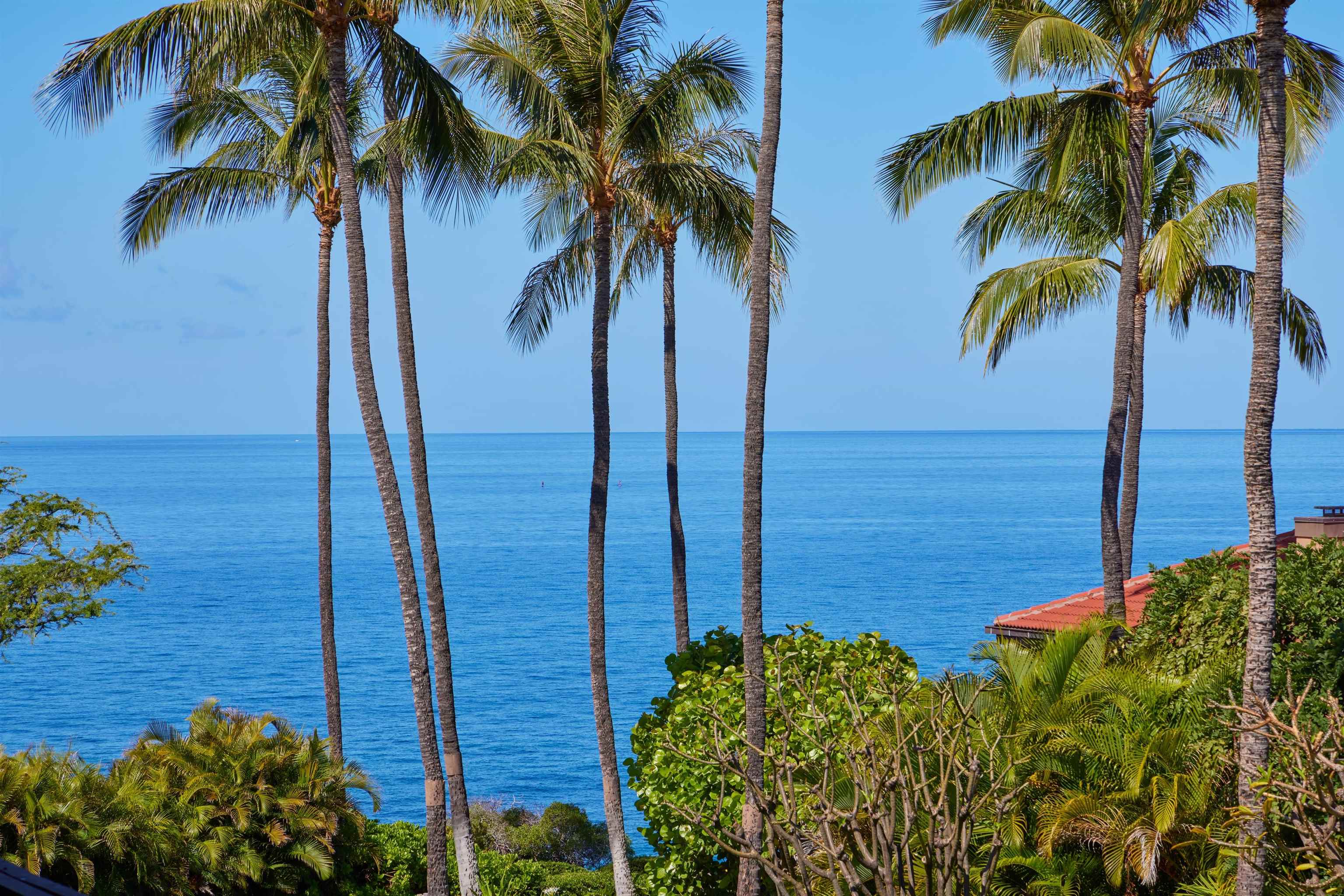 Wailea Point I II III condo # 901, Kihei, Hawaii - photo 4 of 48