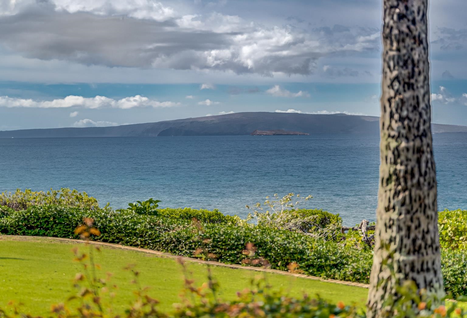 Wailea Point I II III condo # 601, Kihei, Hawaii - photo 4 of 29